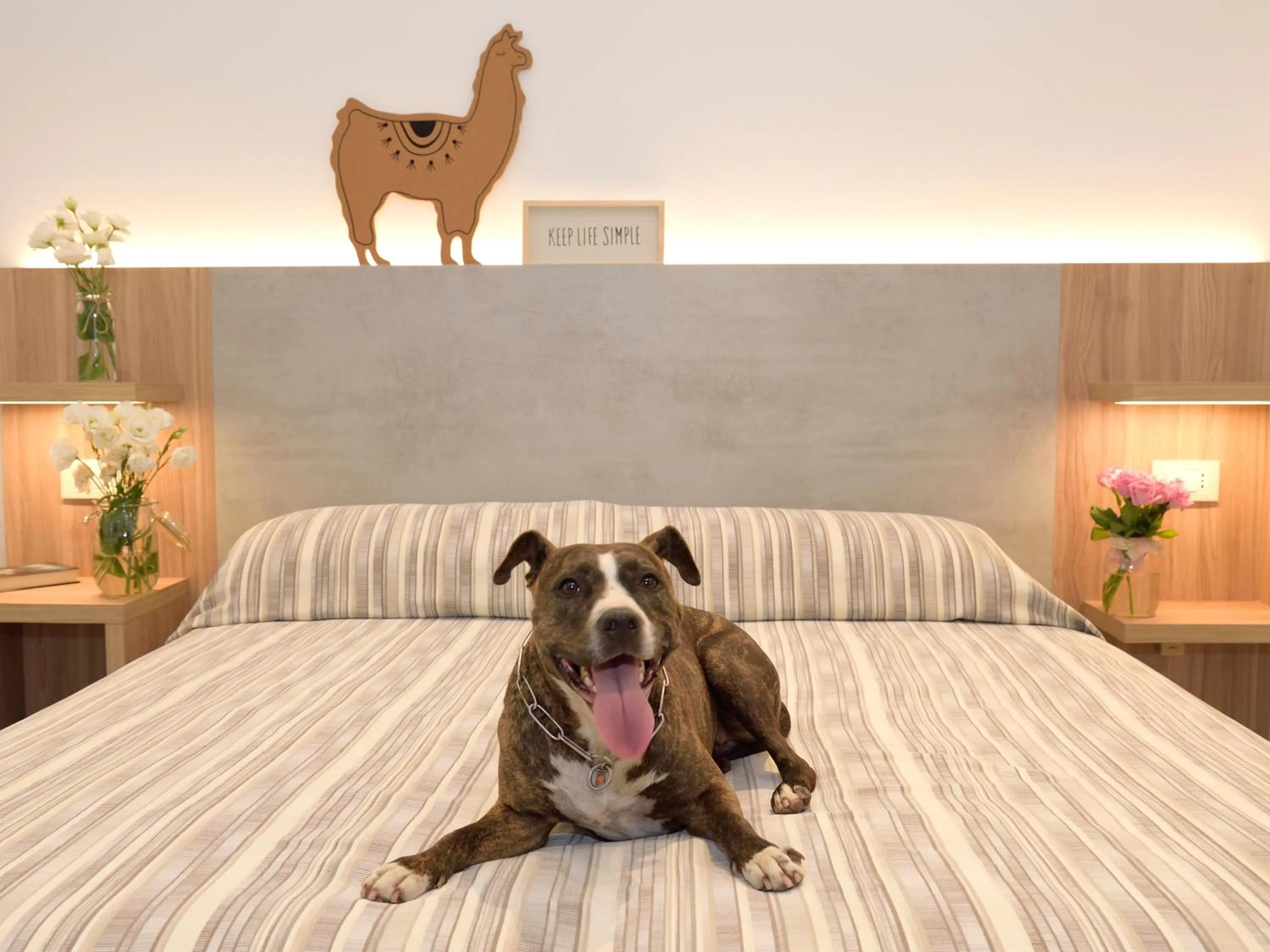 Spring, Bed in Hotel Abc