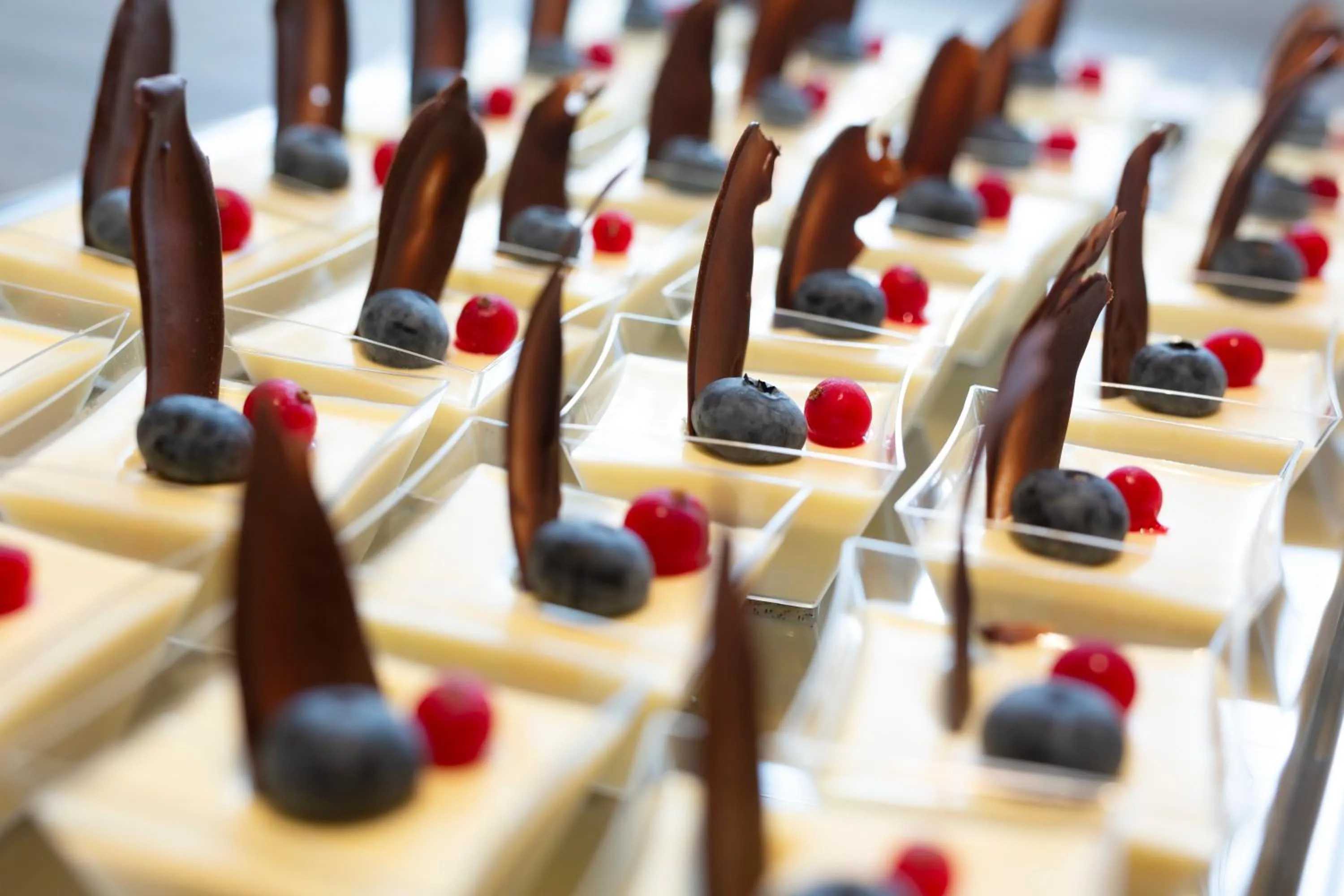 Food and drinks in Dolphin Hotel Herning