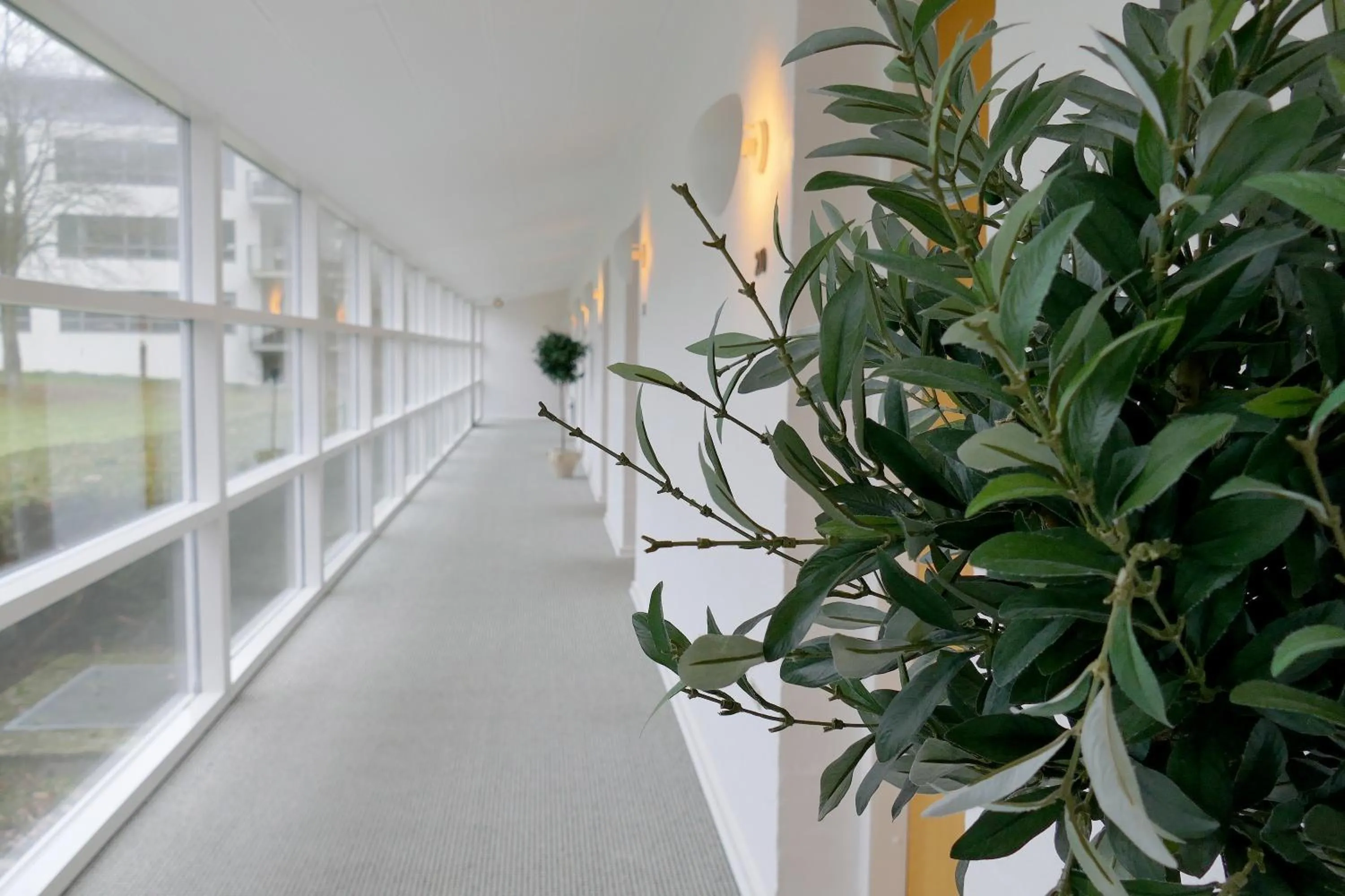 Area and facilities in Arnbjerg Pavillonen