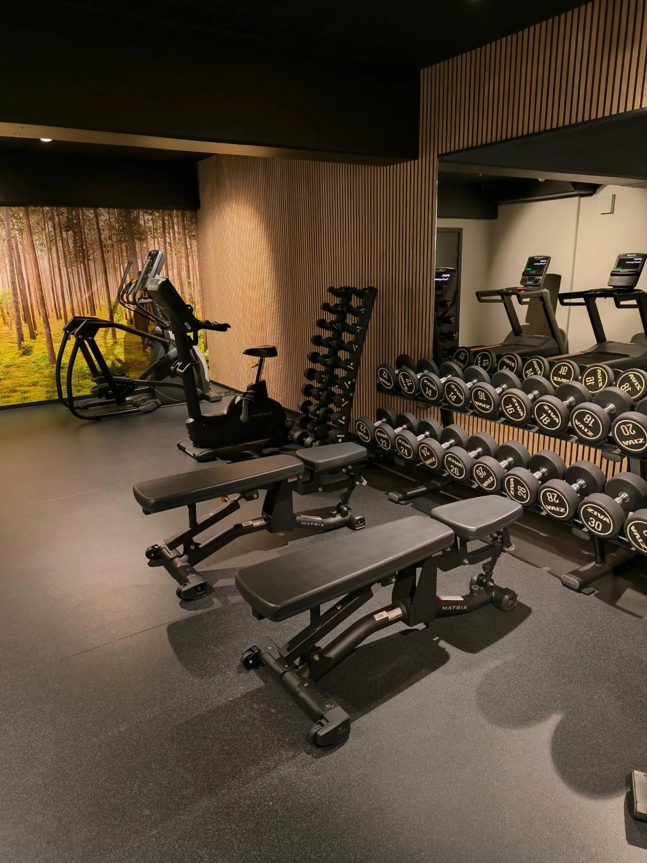 Fitness centre/facilities in Comwell H C Andersen Dolce by Wyndham Fitness centre/facilities in Comwell H C Andersen Dolce by Wyndham