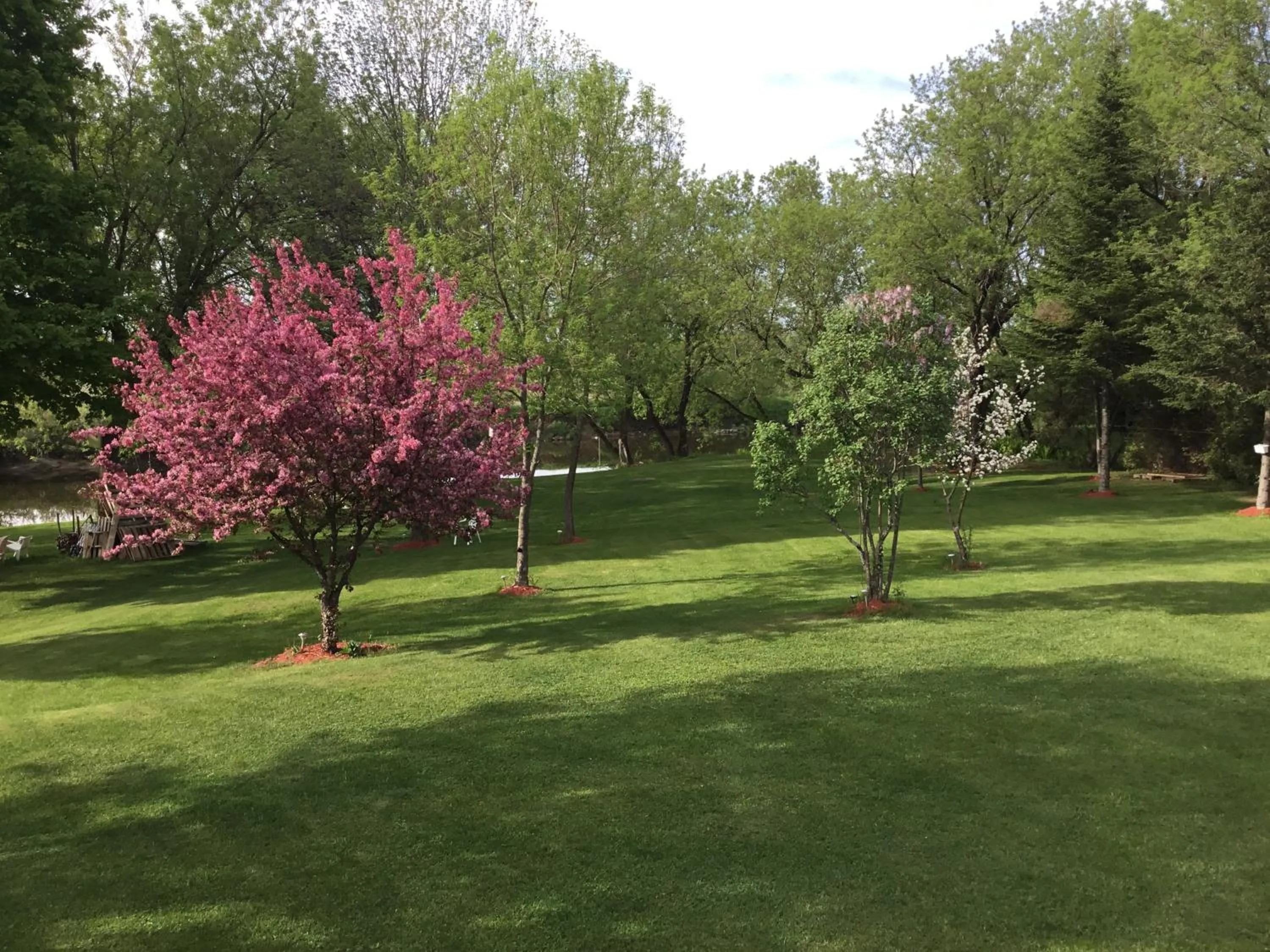 Garden view in La Maison des Éboulis