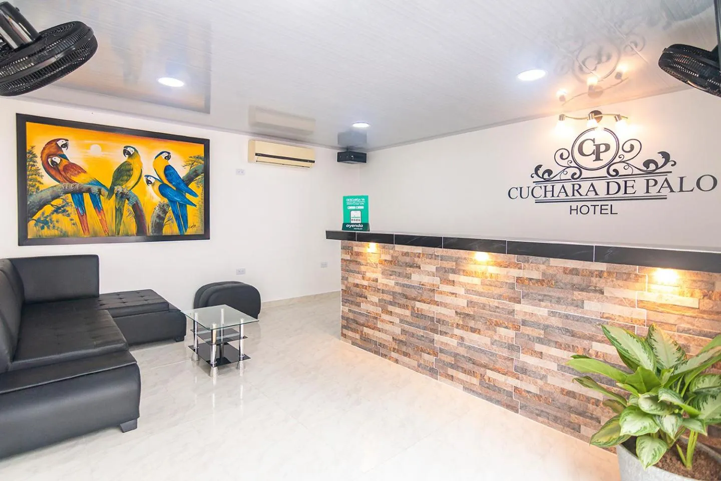 Lobby or reception in Hotel Cuchara de Palo Ayenda