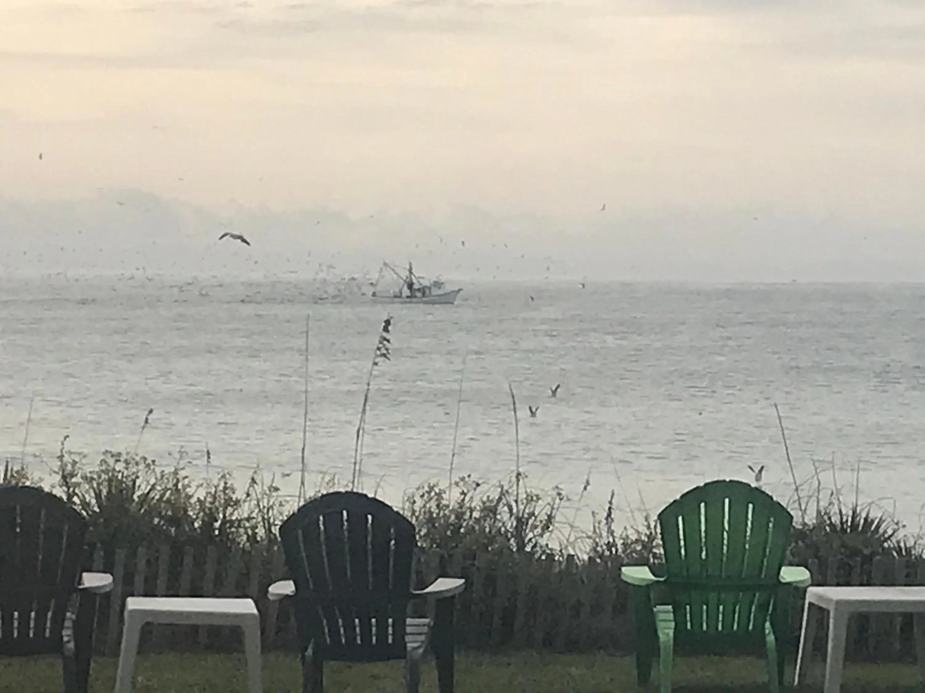 Natural landscape in Crystal Coast Oceanfront Hotel