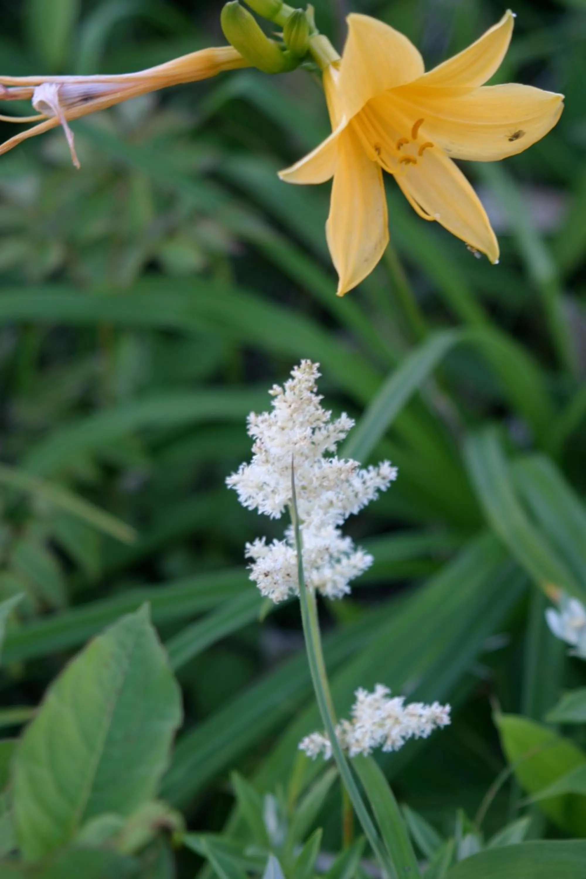 Summer in Hotel Andermatt
