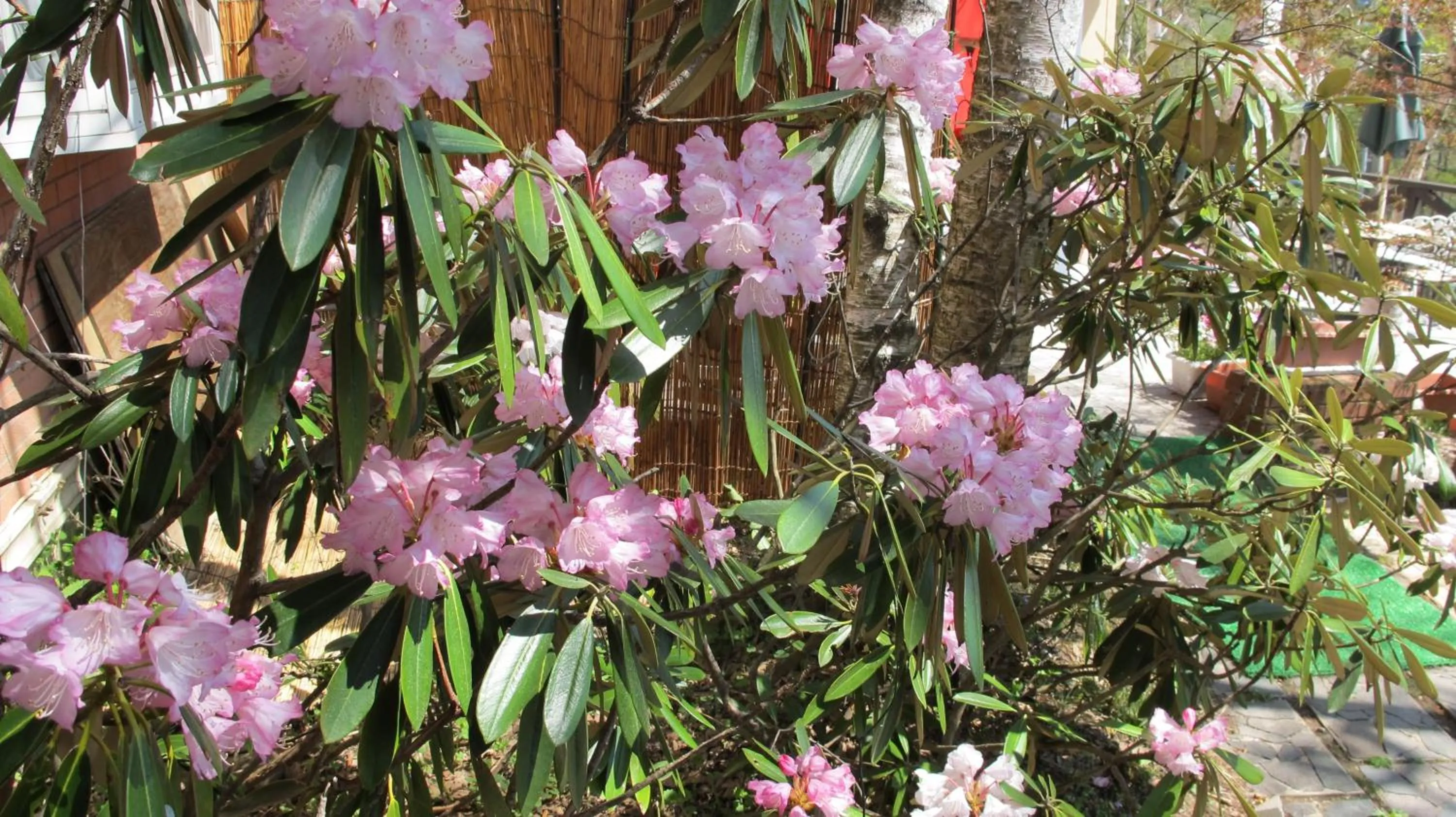 Summer in Hotel Andermatt