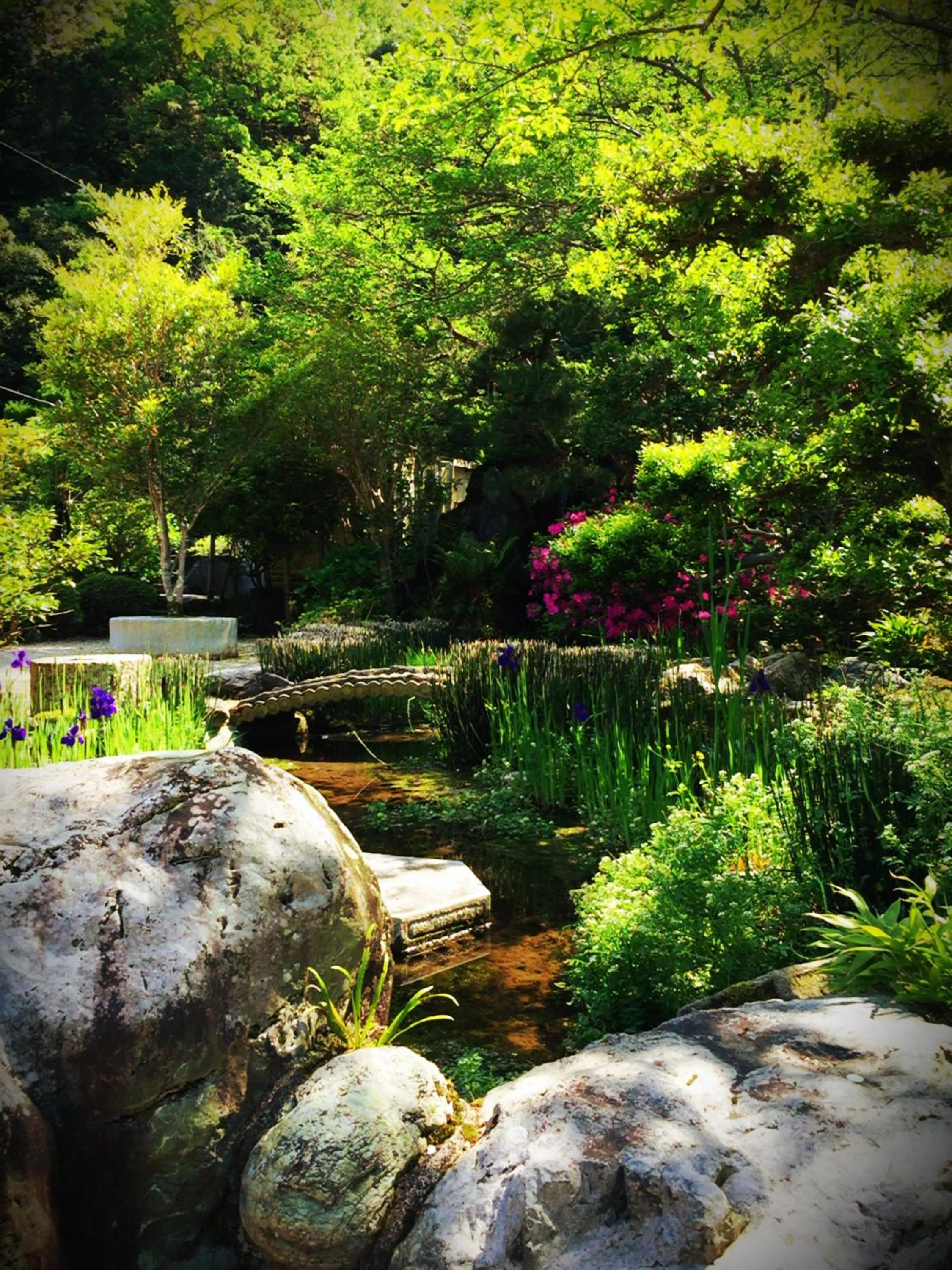 Garden in Okumizuma Onsen