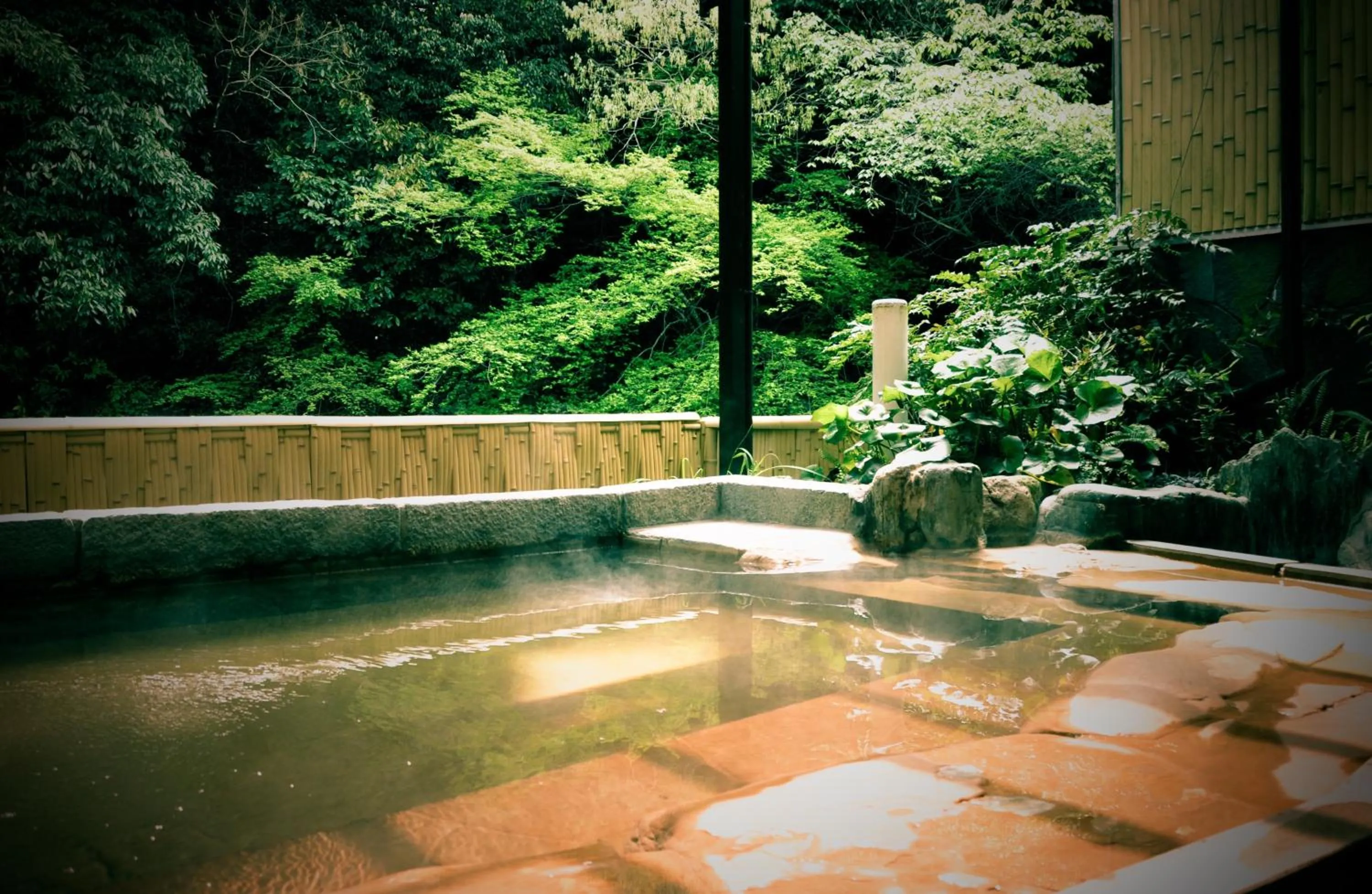 Hot Spring Bath in Okumizuma Onsen