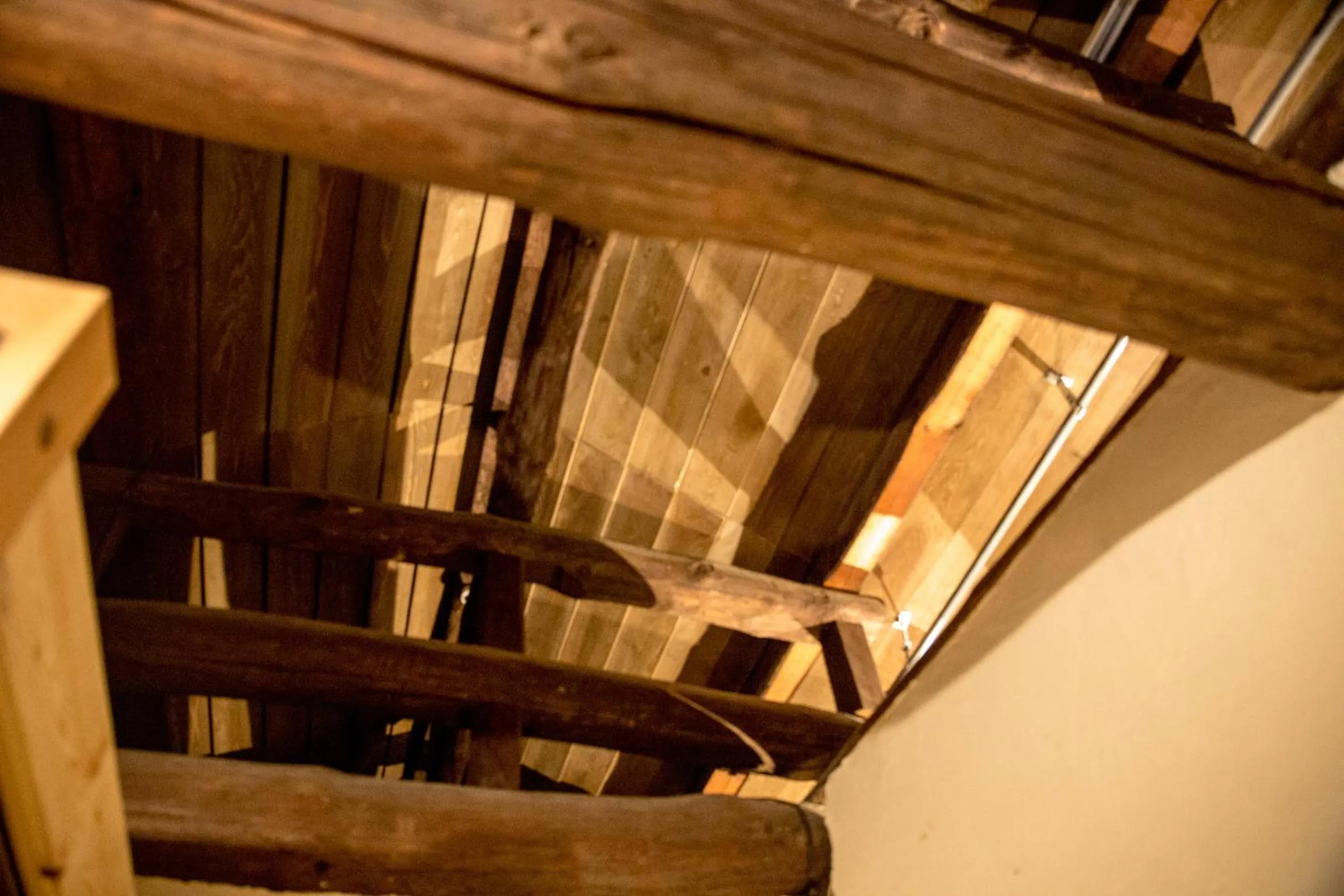 Area and facilities in Dot Hostel Nagano