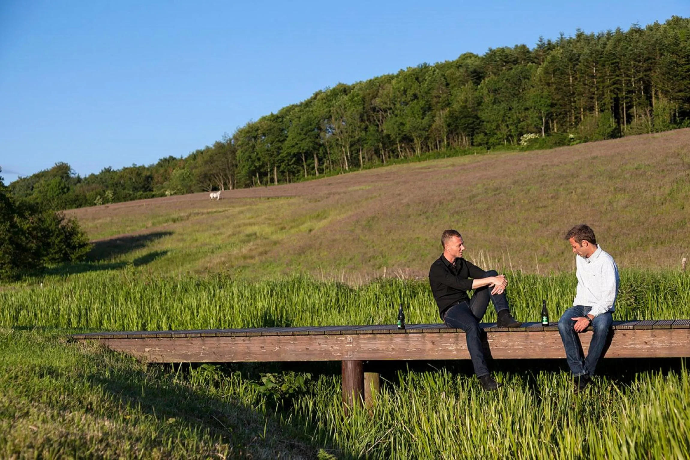 Area and facilities in Haraldskær Sinatur Hotel & Konference