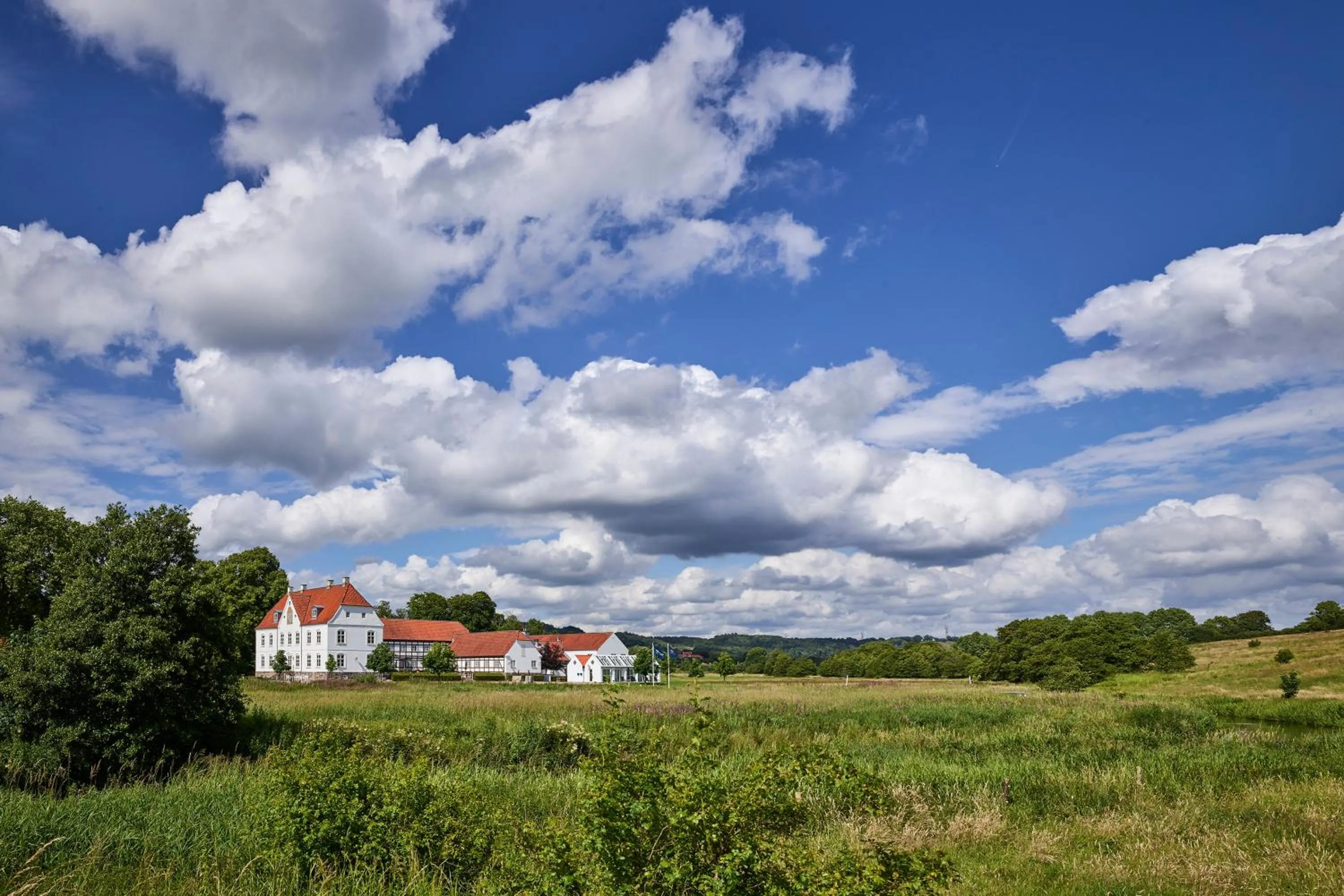 Natural landscape in Haraldskær Sinatur Hotel & Konference