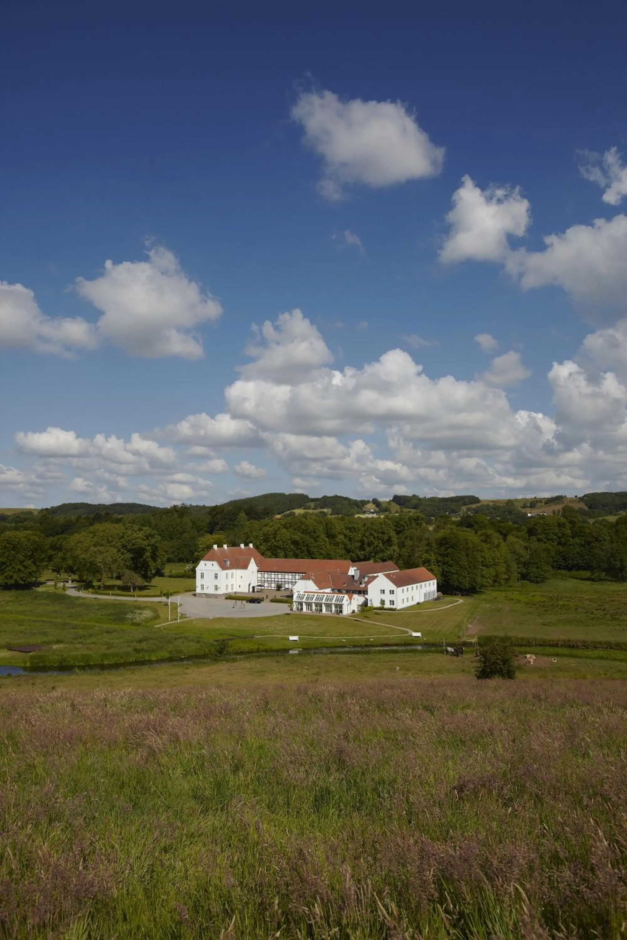 Natural landscape in Haraldskær Sinatur Hotel & Konference