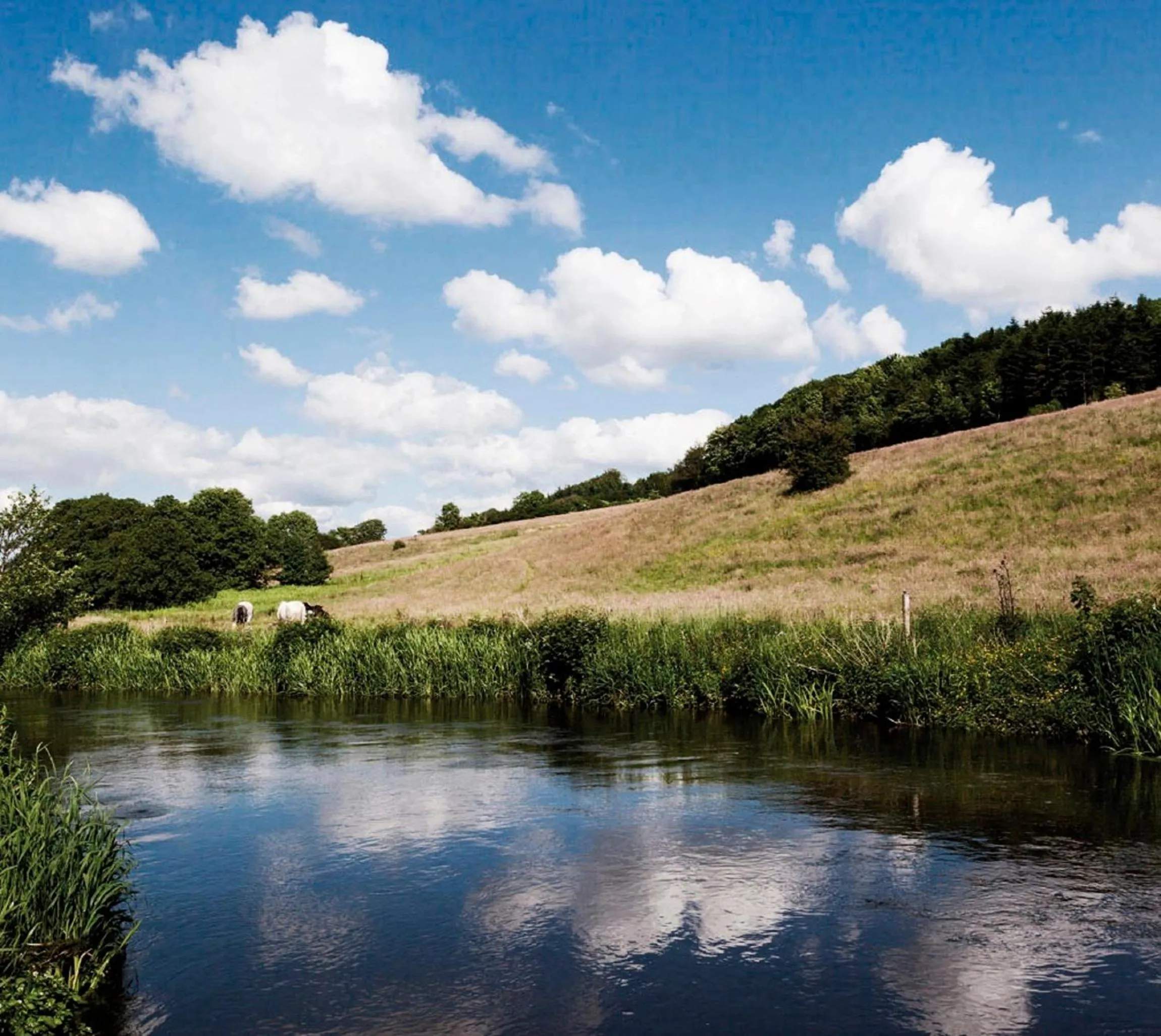 Natural landscape in Haraldskær Sinatur Hotel & Konference