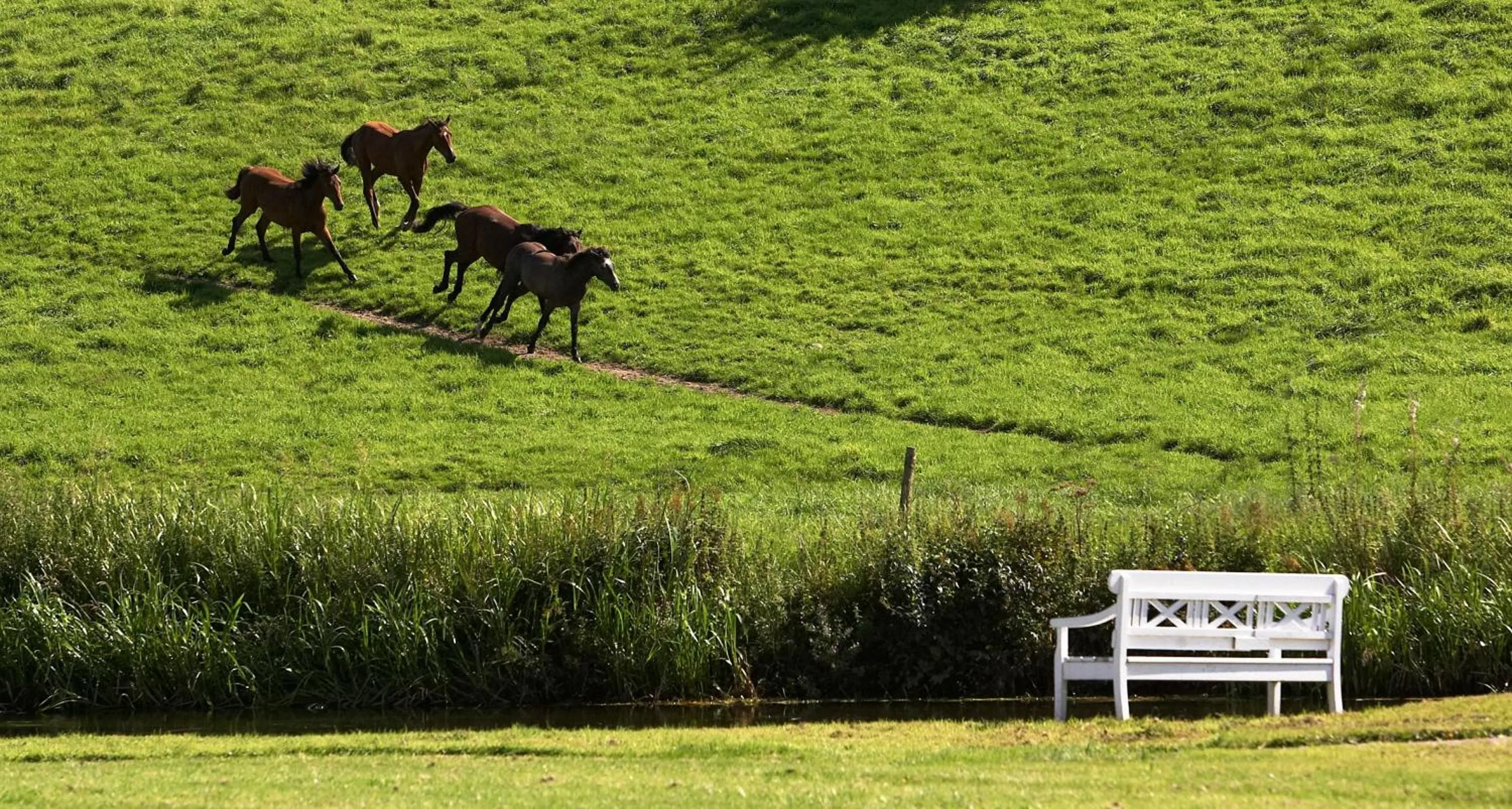 Natural landscape in Haraldskær Sinatur Hotel & Konference