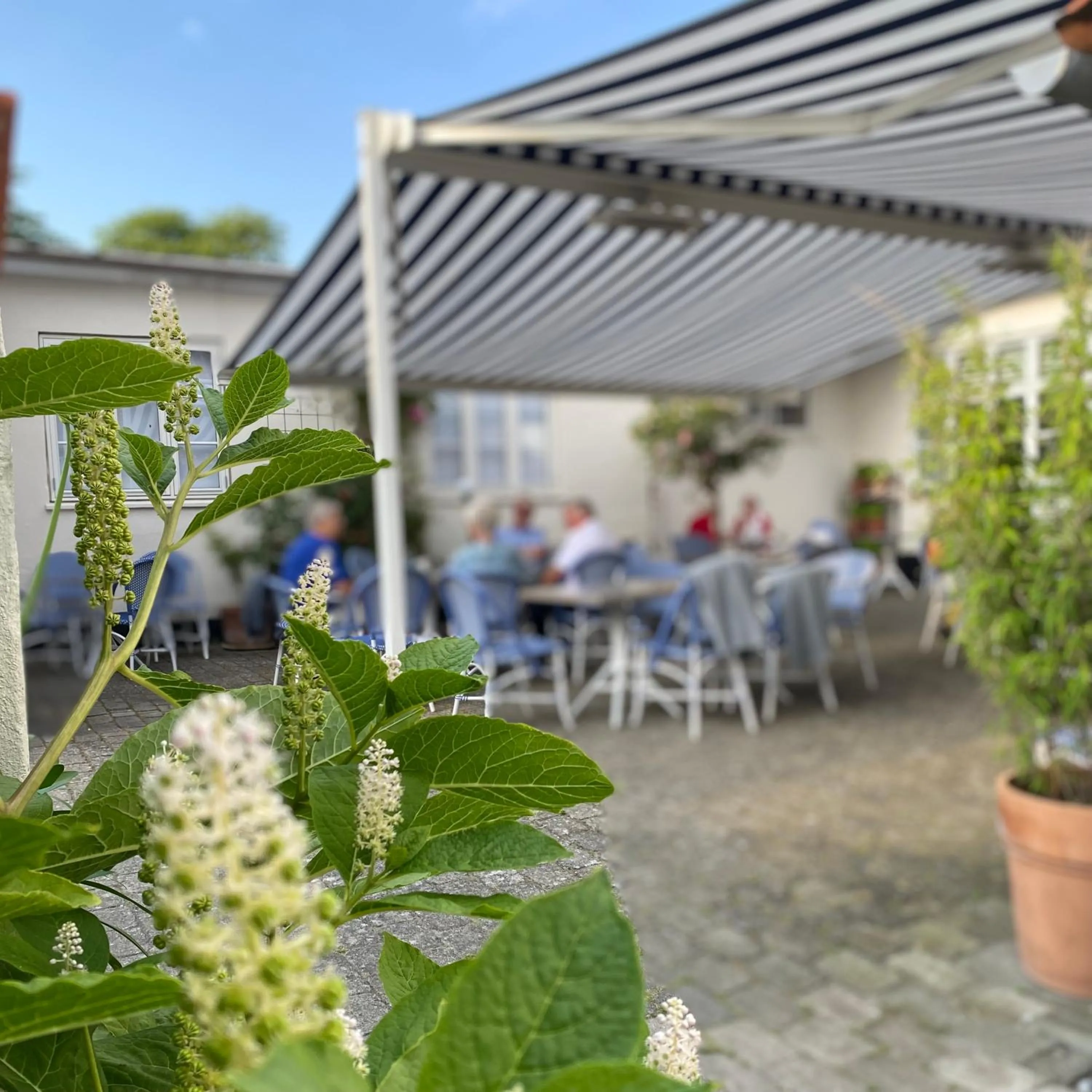 Restaurant/places to eat in Rødvig Kro og Badehotel