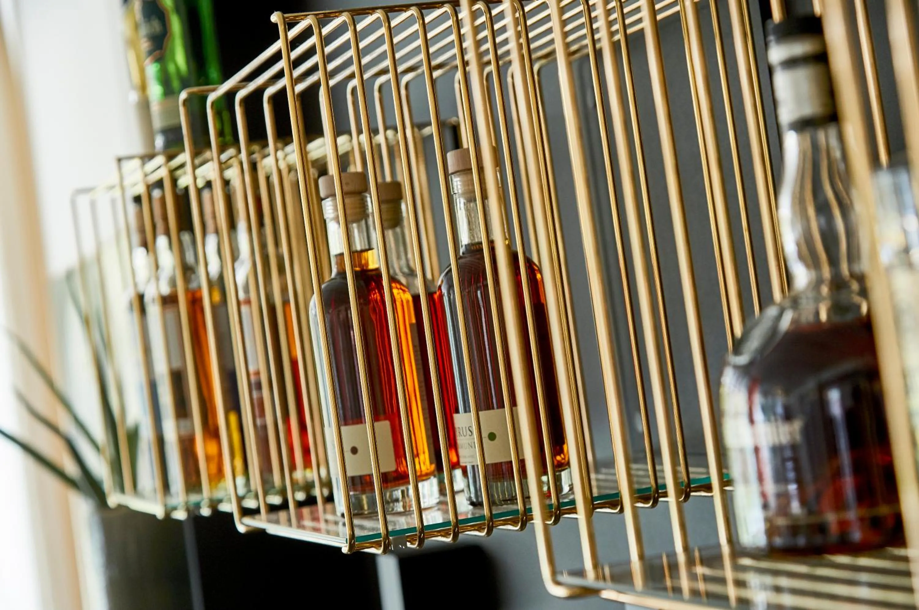 Lounge or bar in Gl Skovridergaard