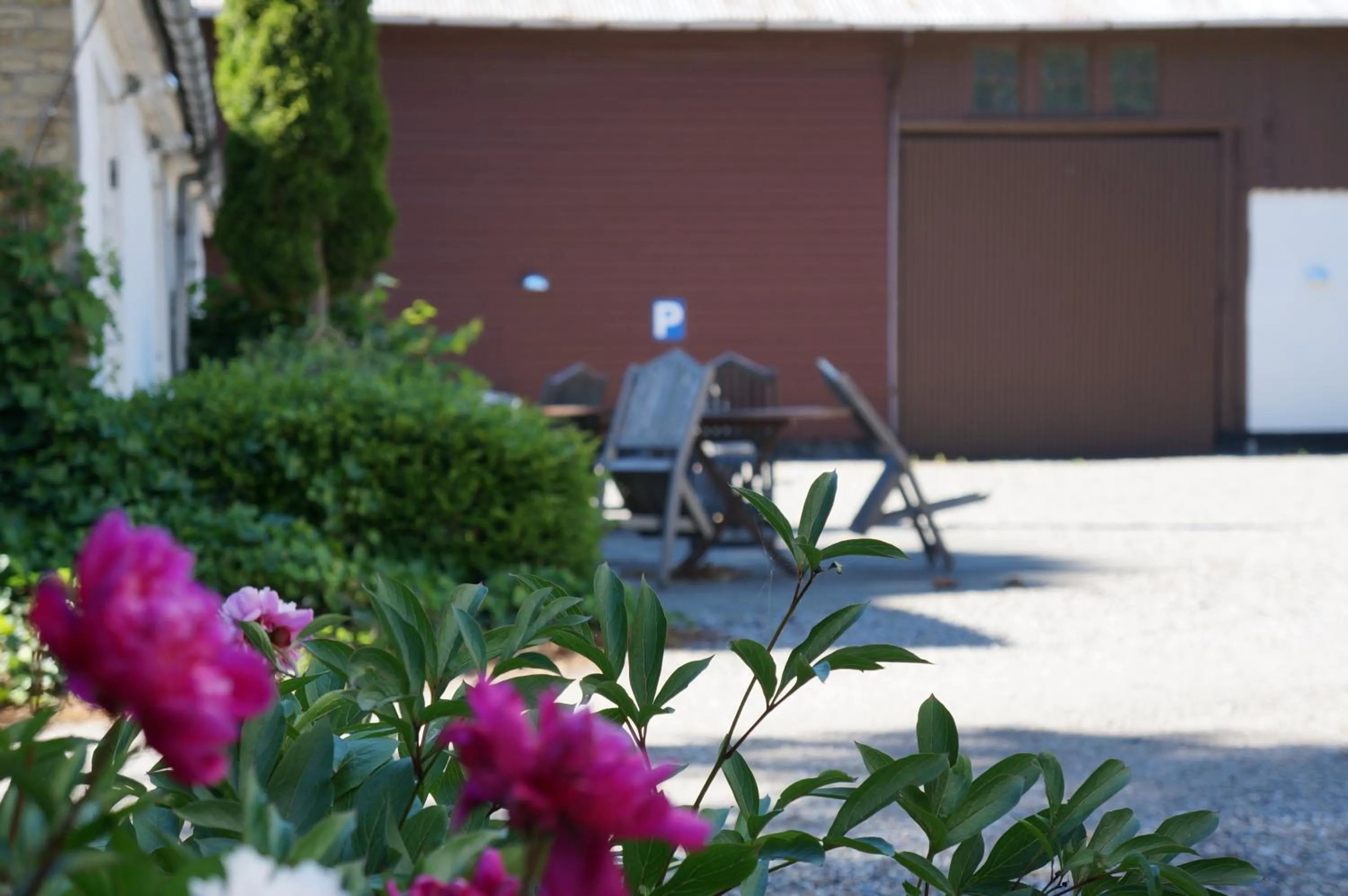 Garden in Tiendegaarden Møns Klint