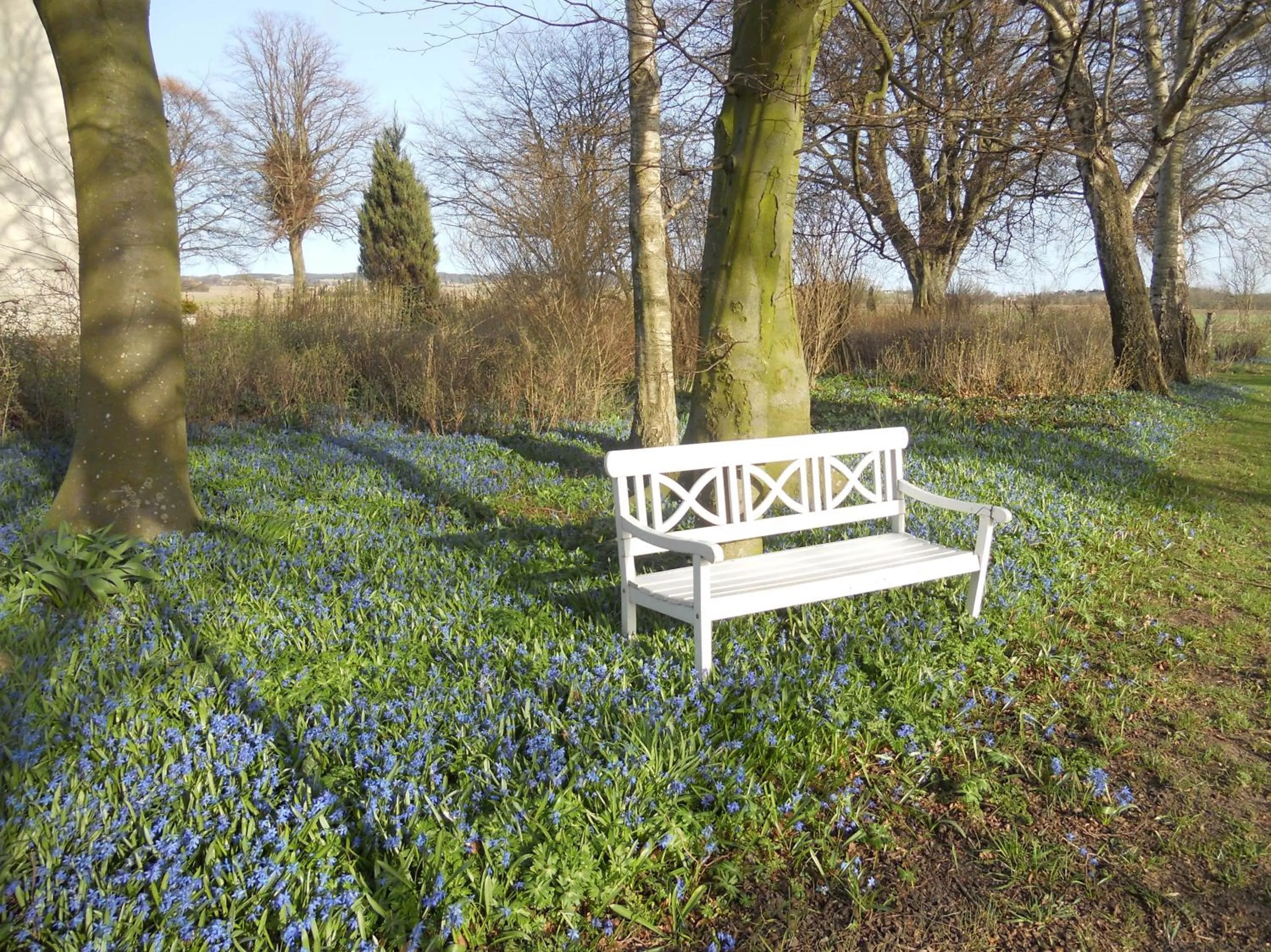 Facade/entrance in Tiendegaarden Møns Klint