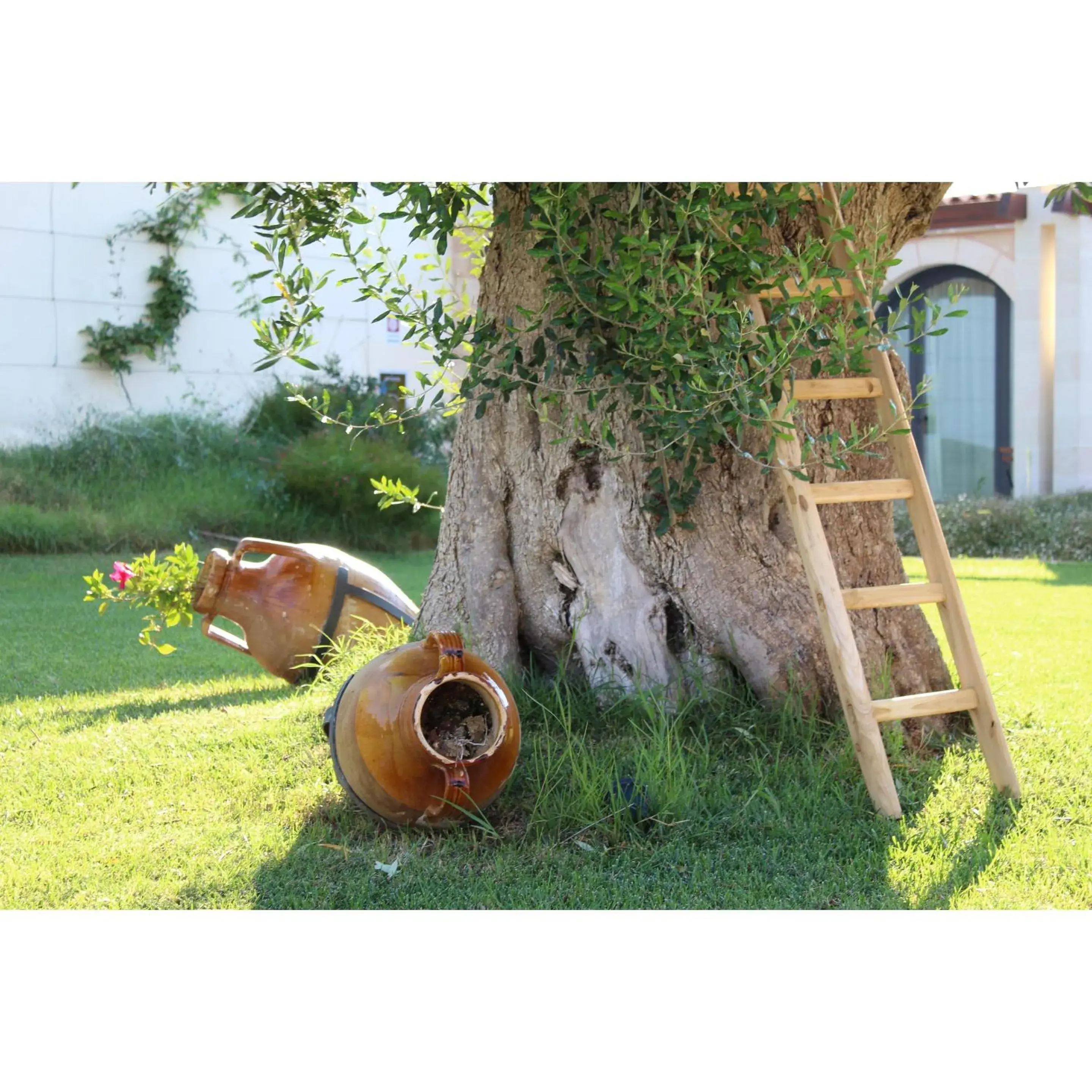 Masseria Stali, The Originals Relais Masseria Stali, The Originals Relais