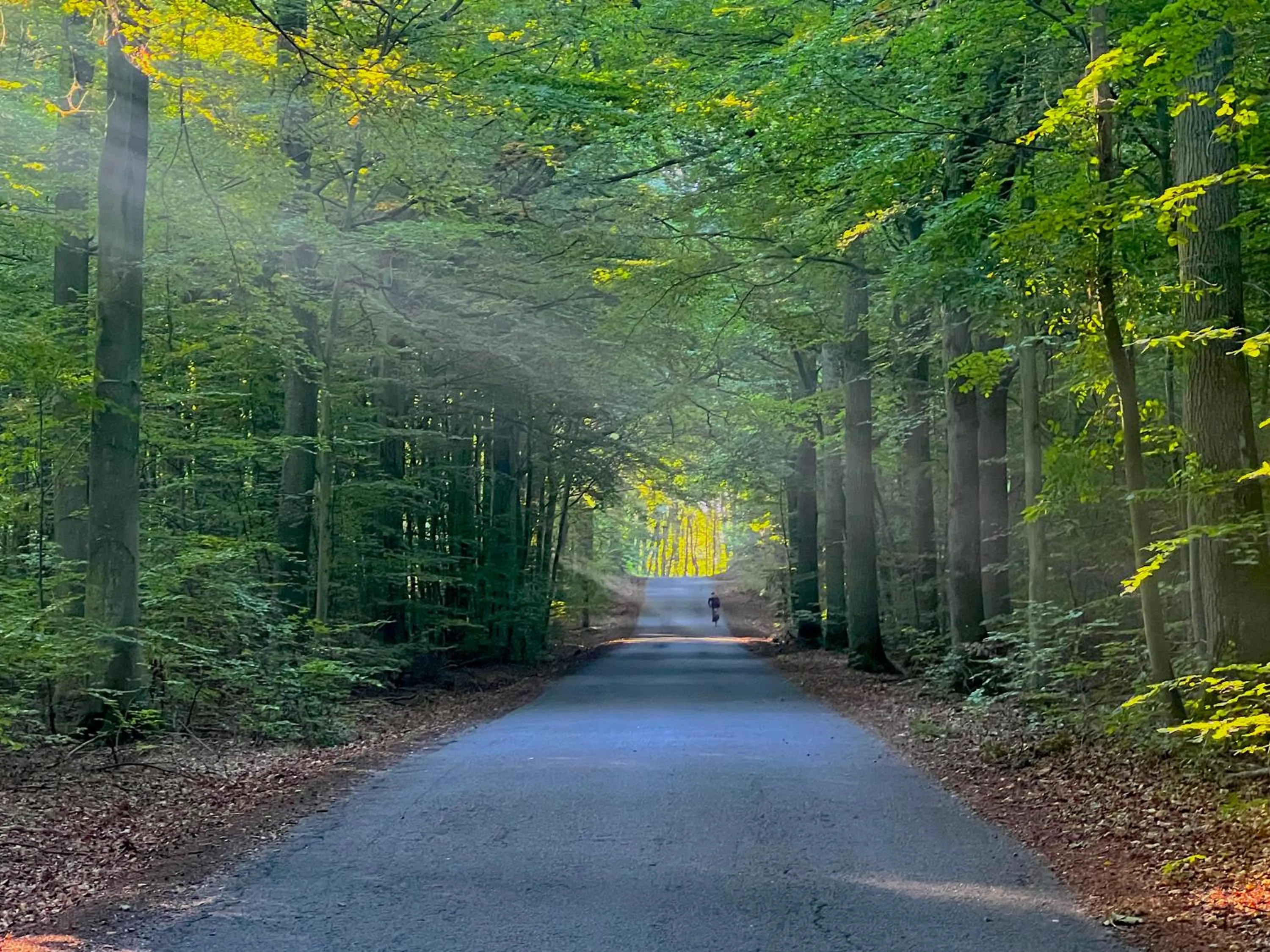 Cycling in Hotel Skovly