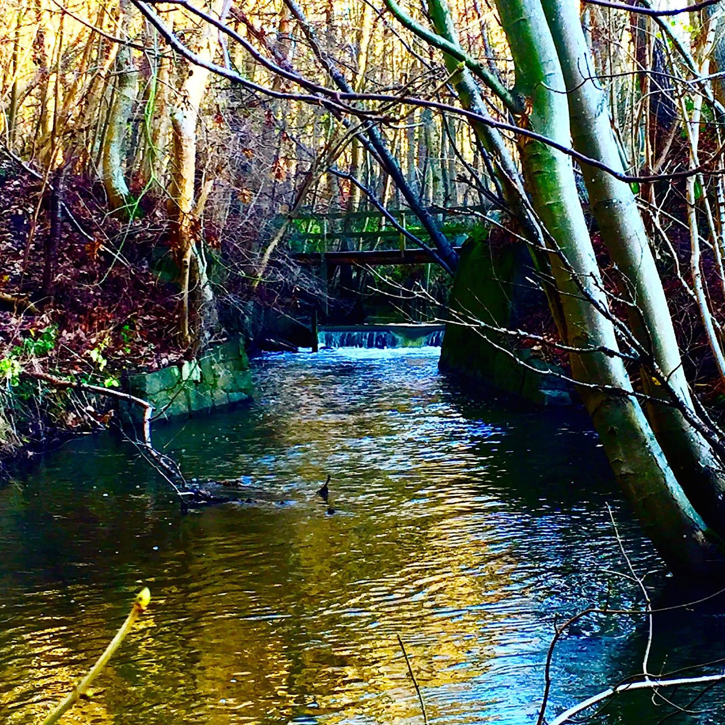 Spring in Hotel Skovly