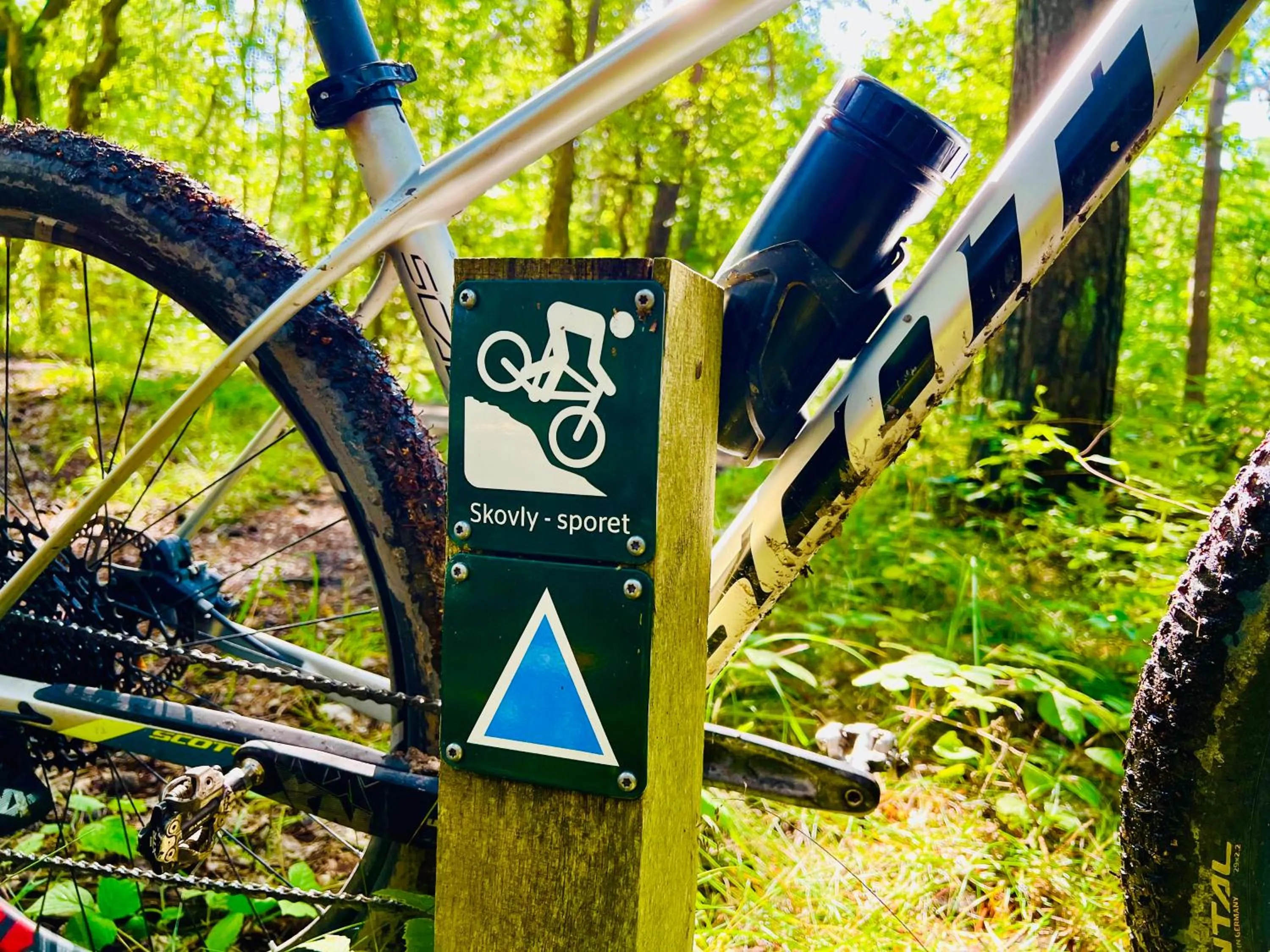 Cycling in Hotel Skovly