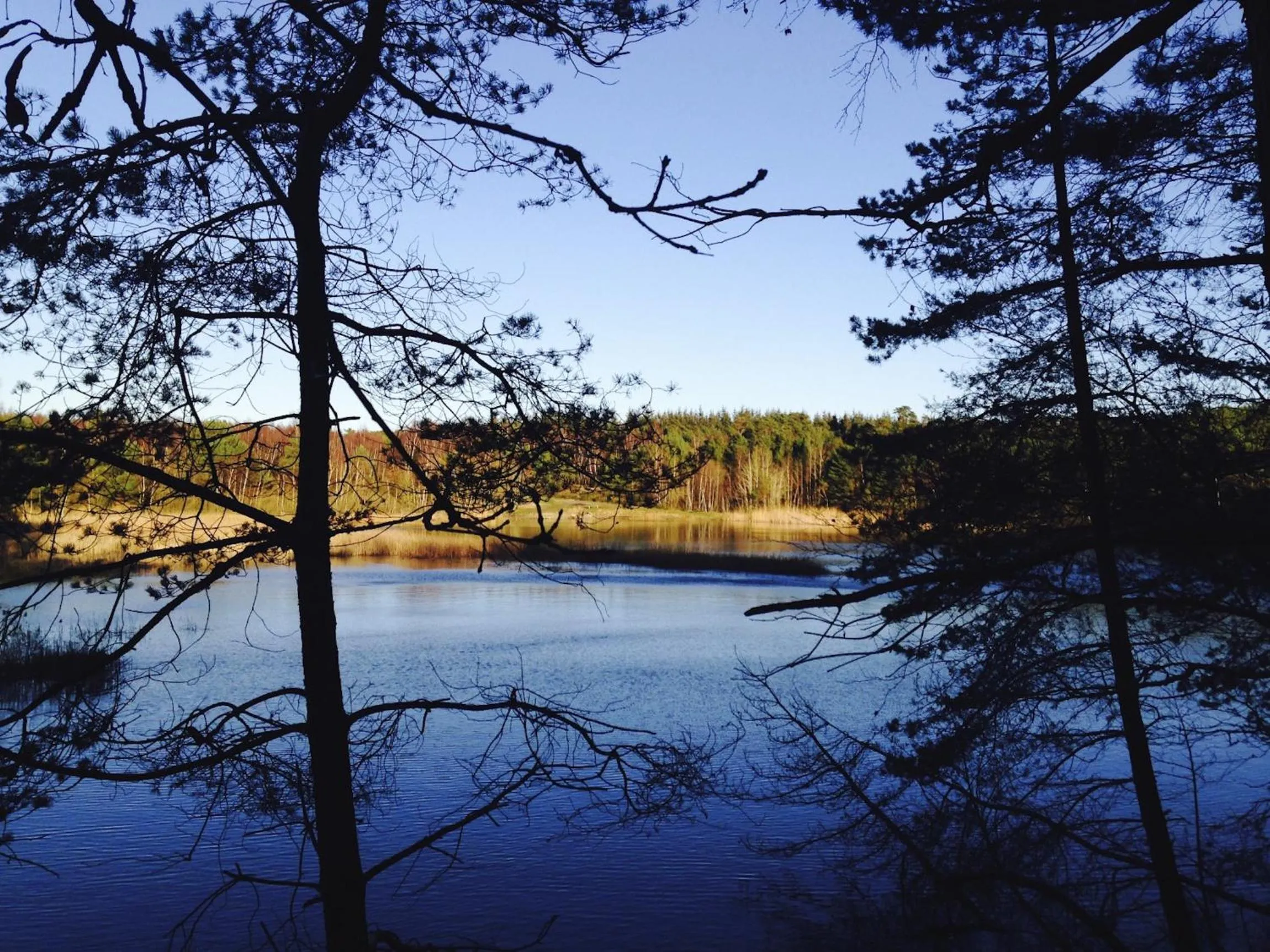 Natural landscape in Hotel Skovly