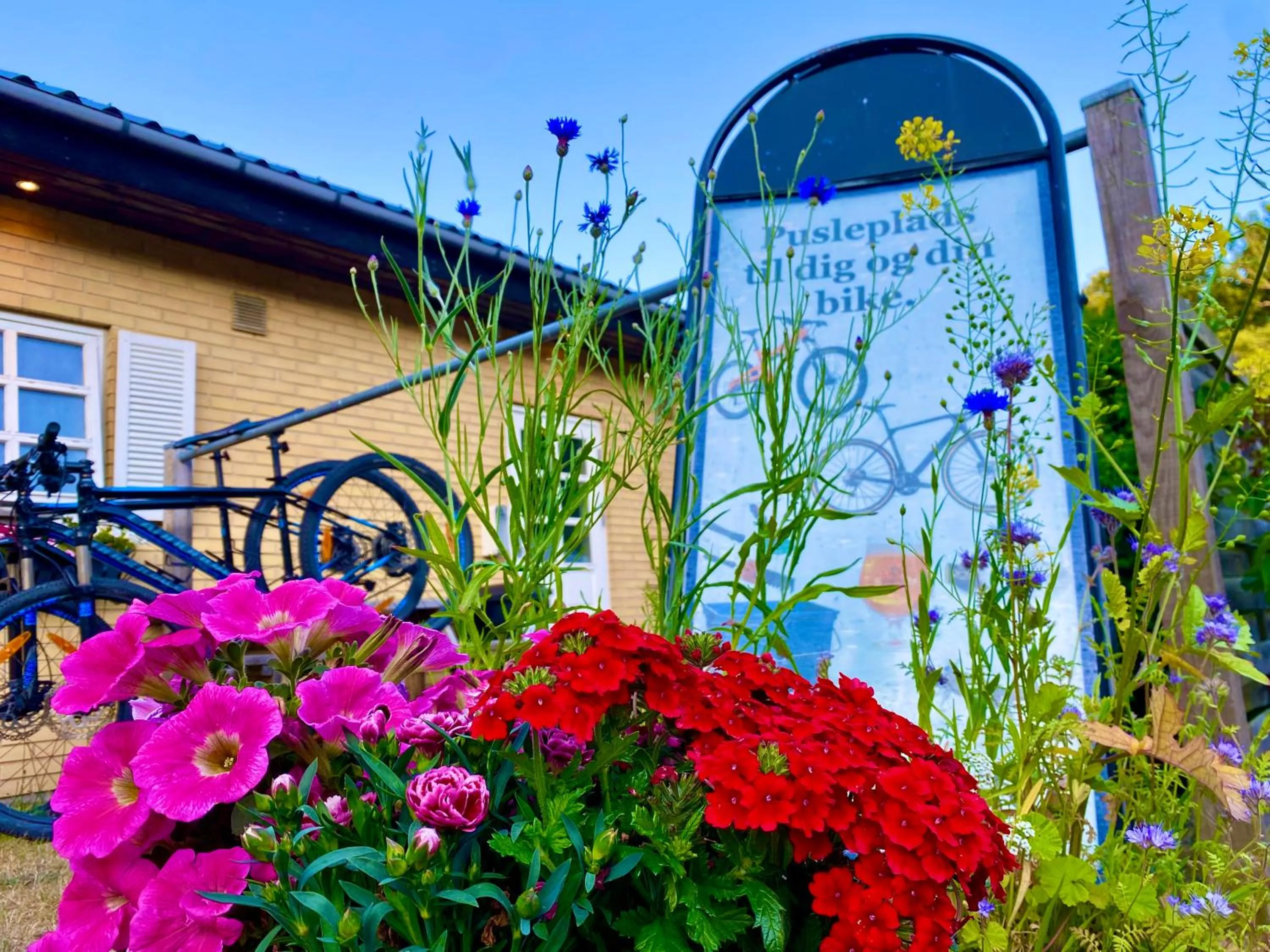 Cycling in Hotel Skovly