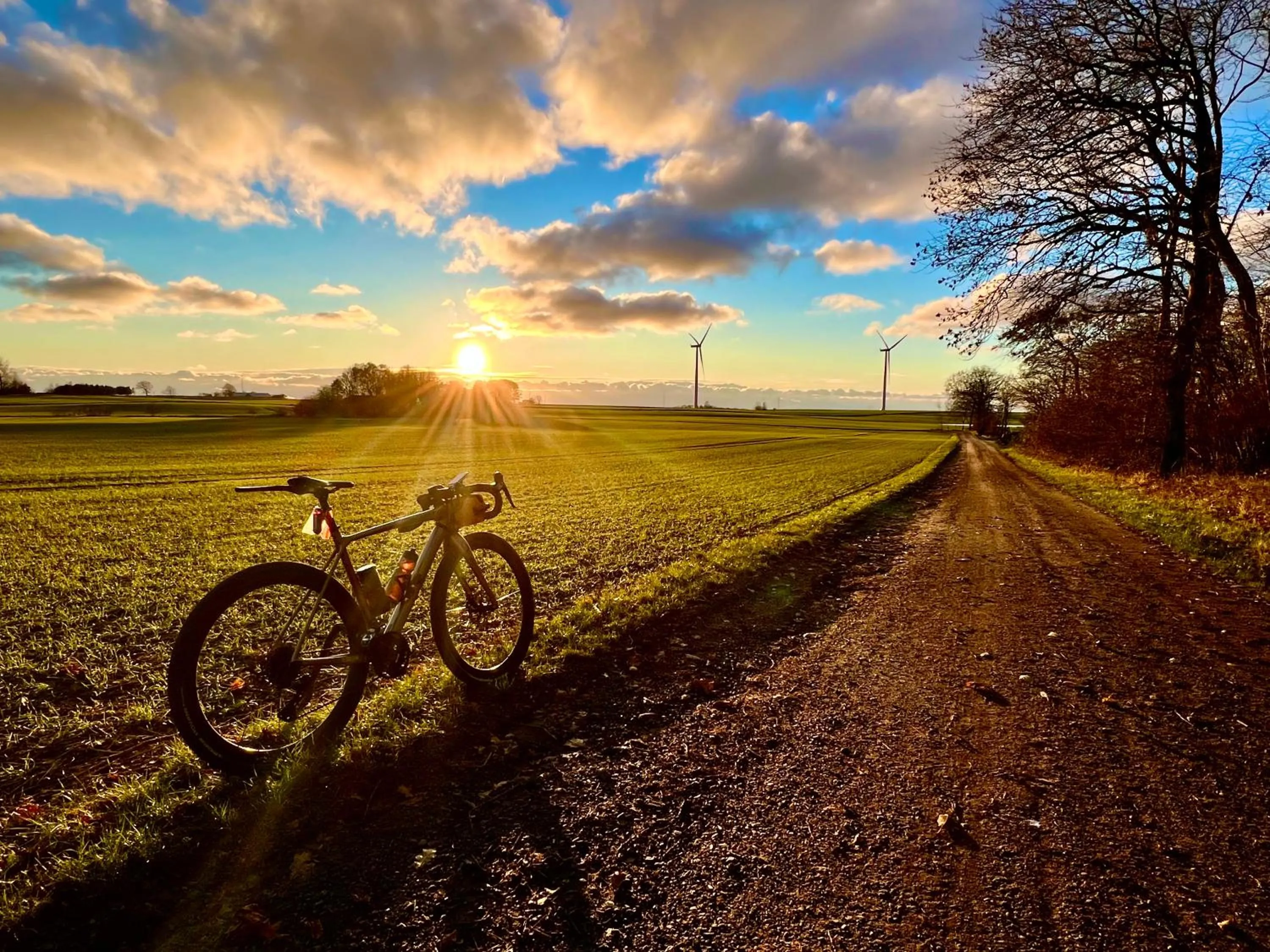 Cycling in Hotel Skovly