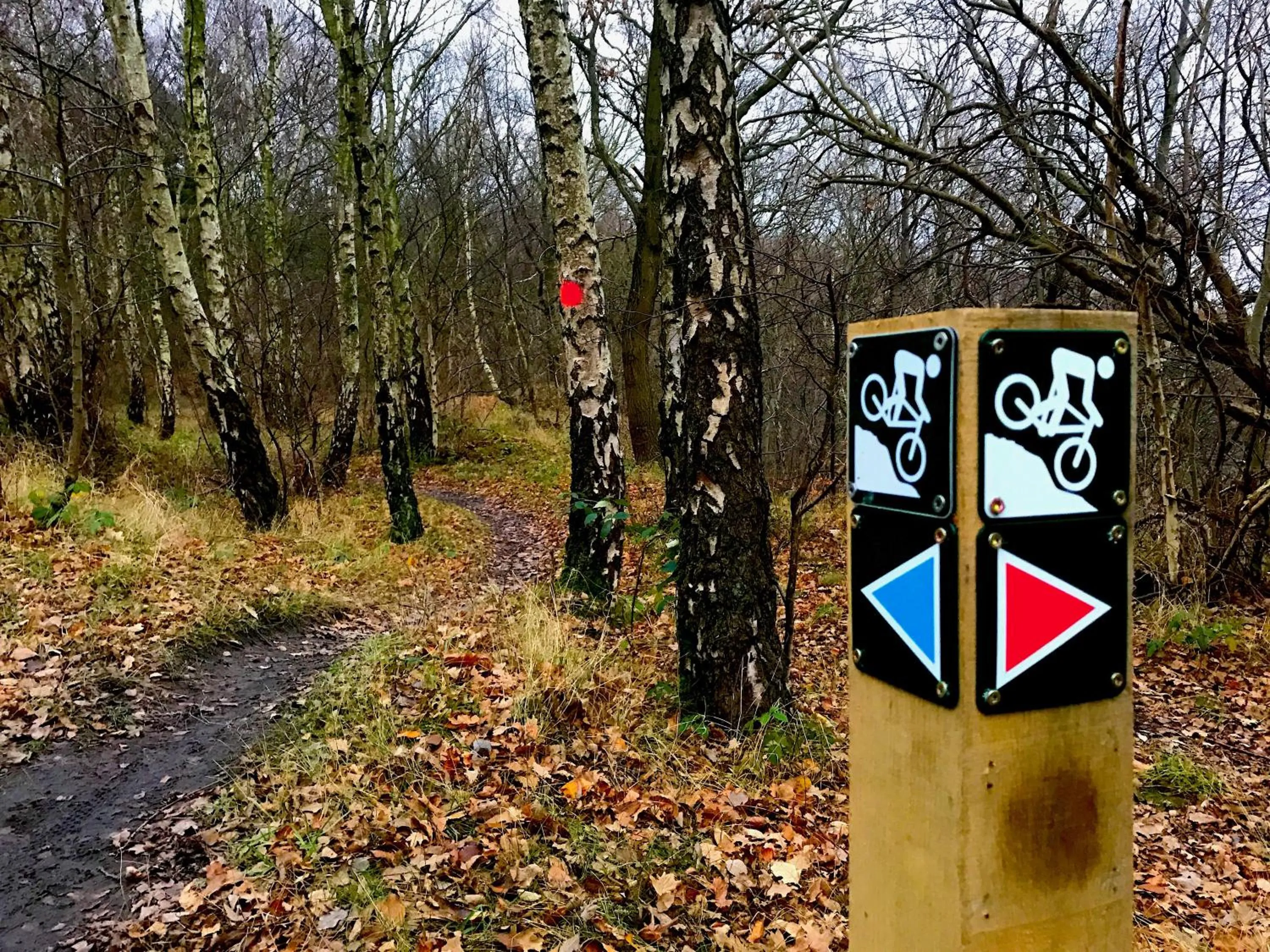 Spring in Hotel Skovly