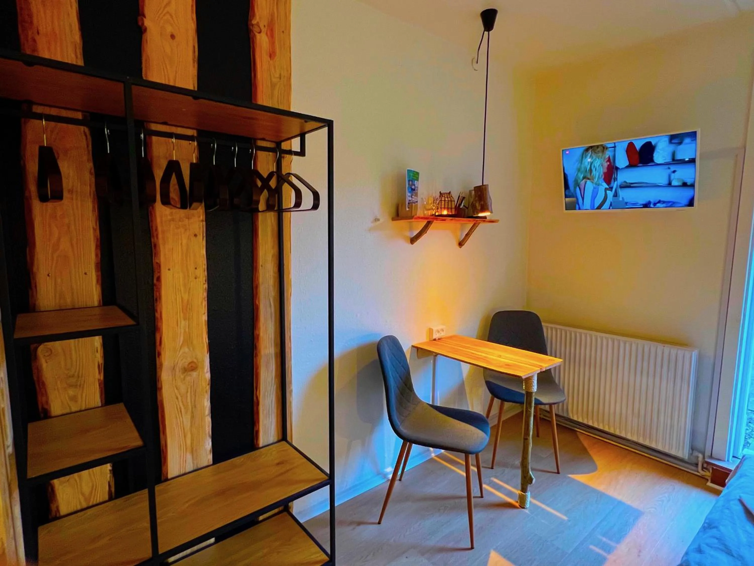 TV and multimedia in Hotel Skovly