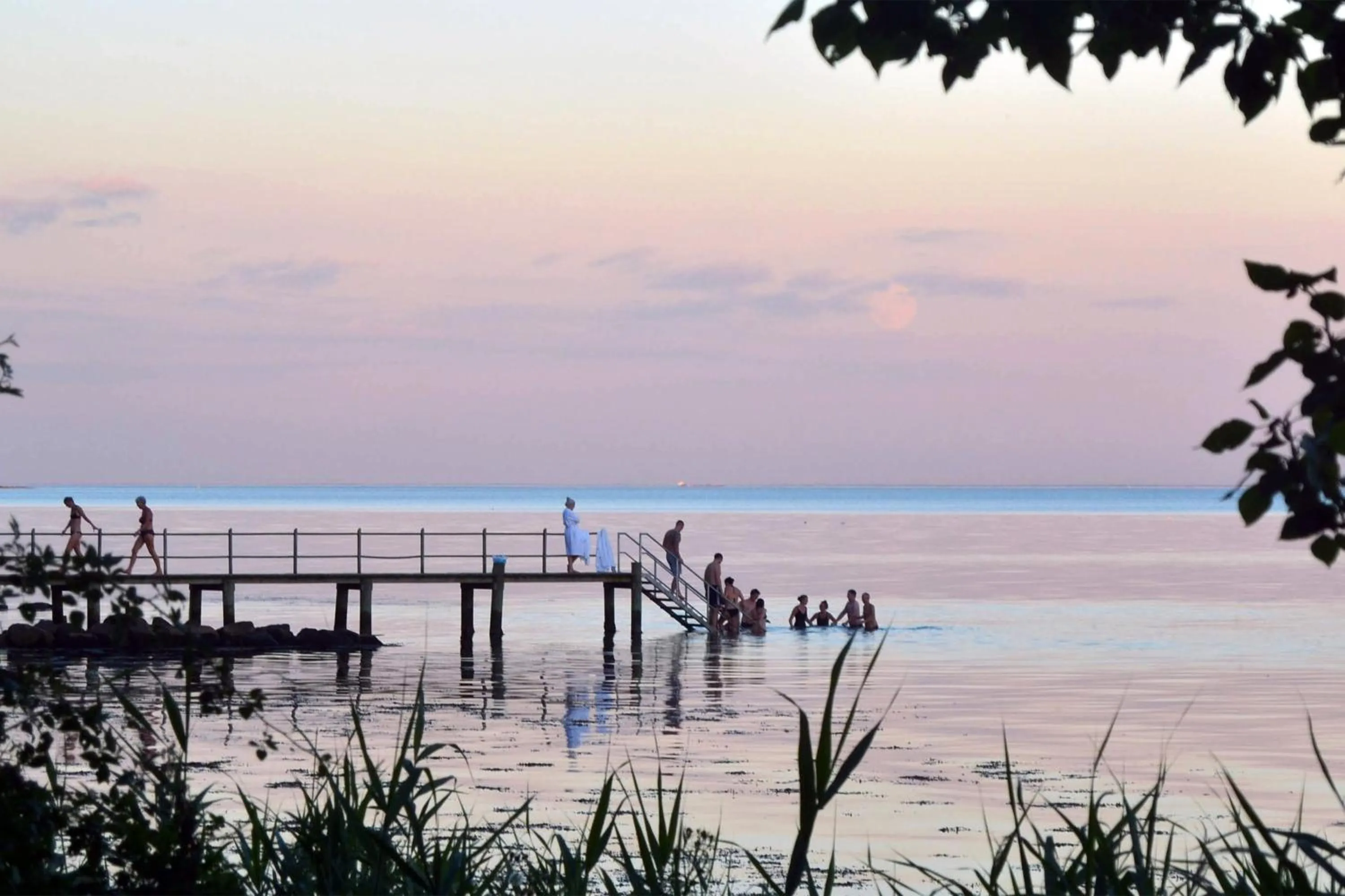 Beach in Hotel Vejlefjord