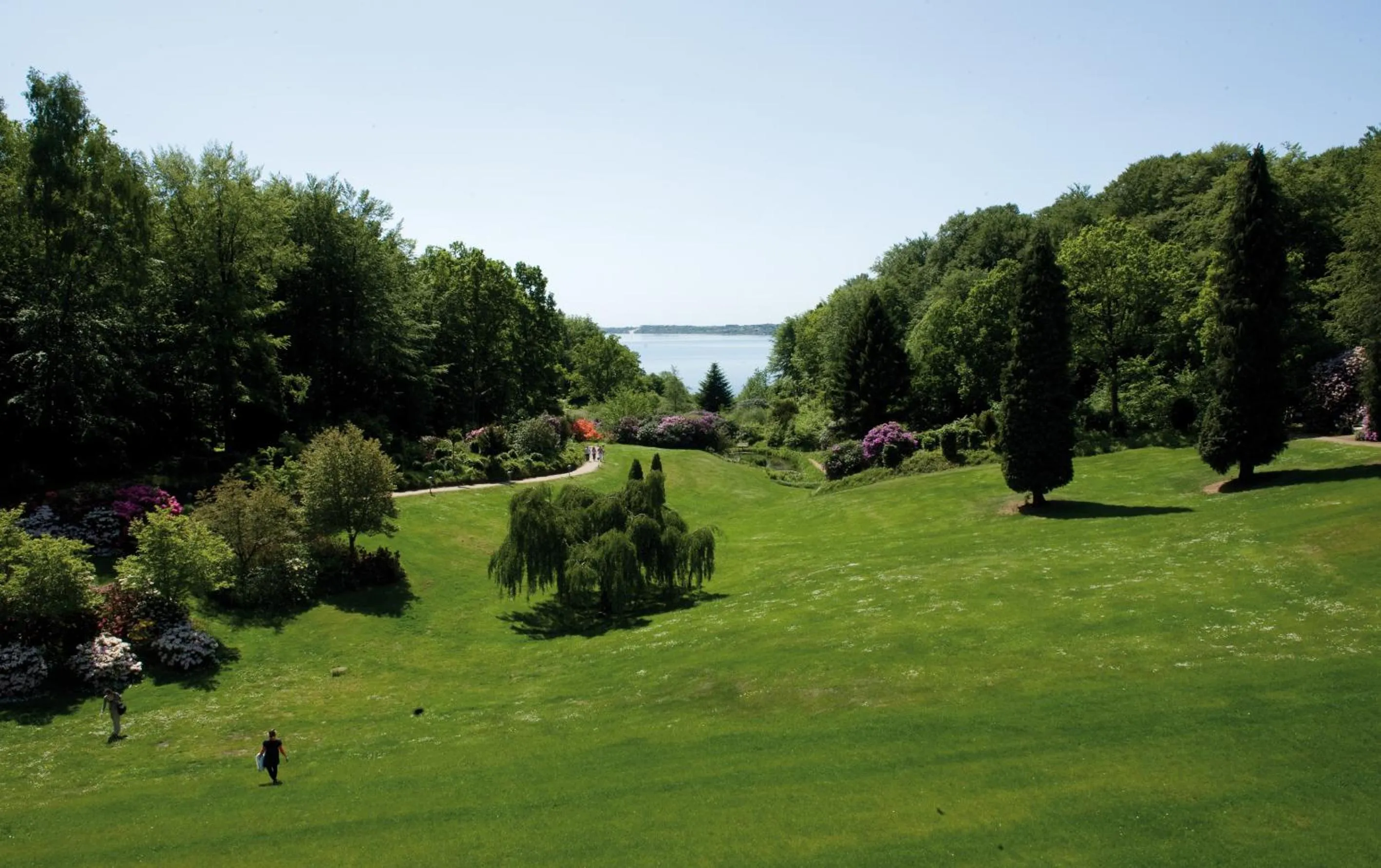 Garden in Hotel Vejlefjord