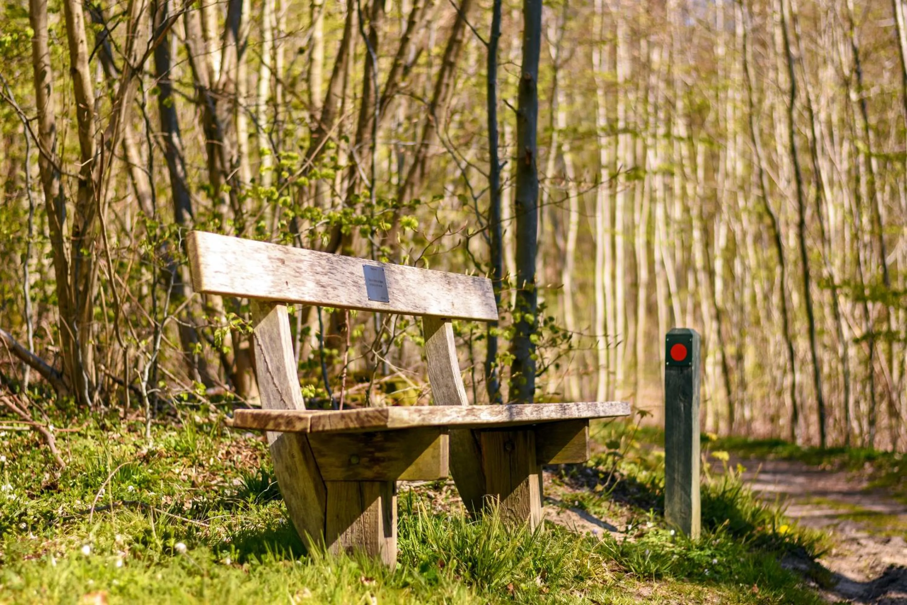 Garden in Hotel Vejlefjord