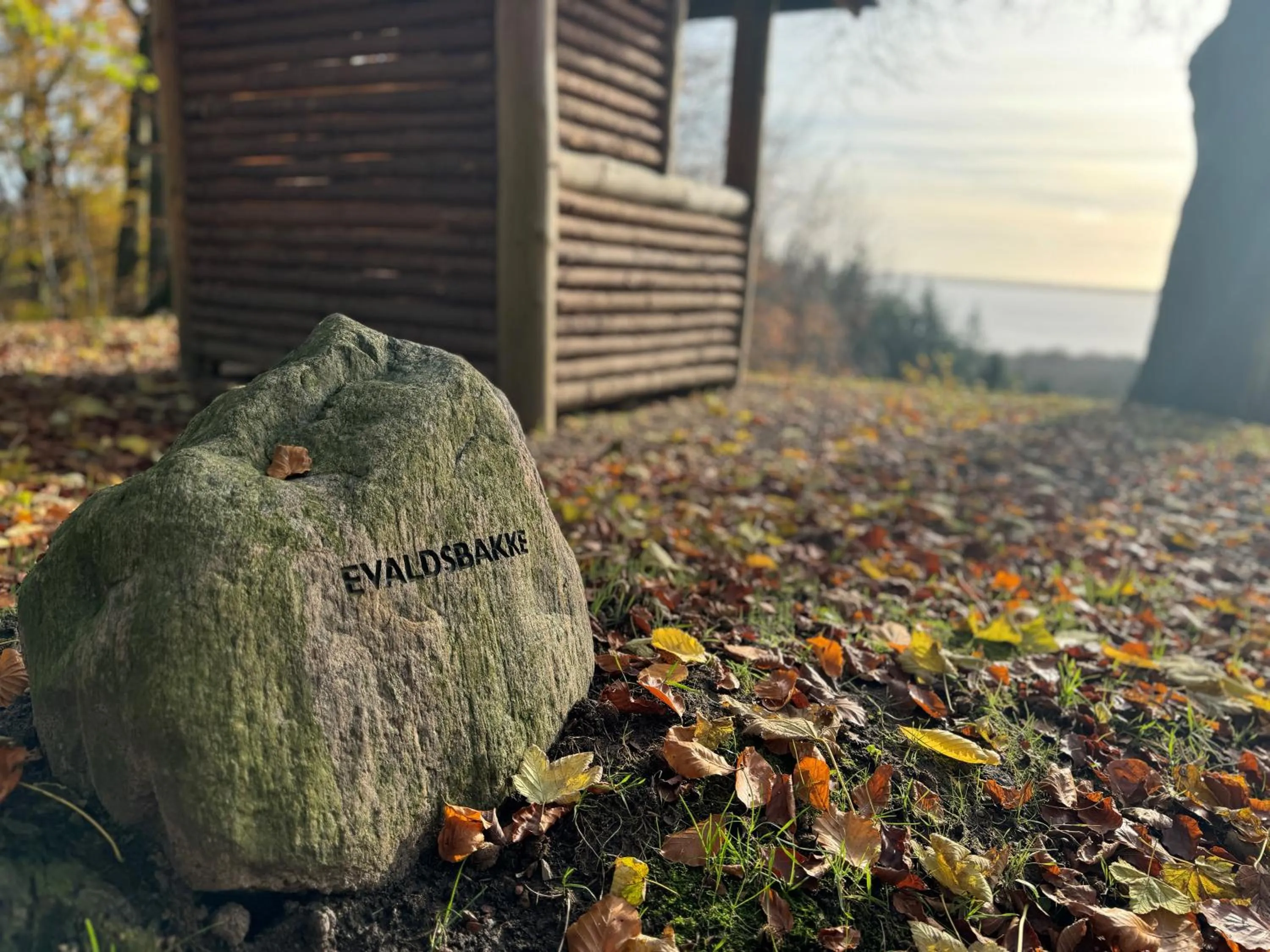 Garden in Hotel Vejlefjord