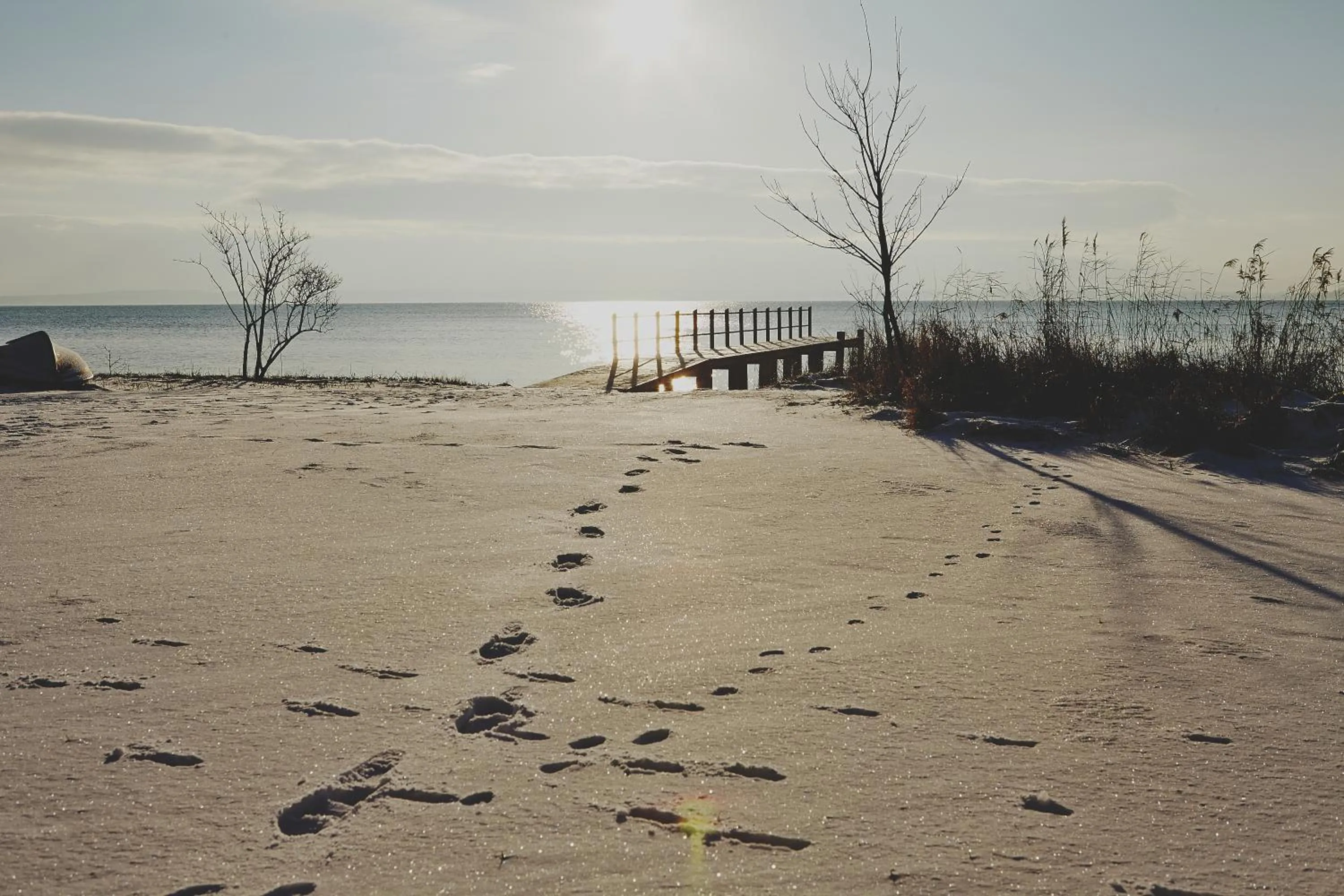 Area and facilities in Hotel Vejlefjord