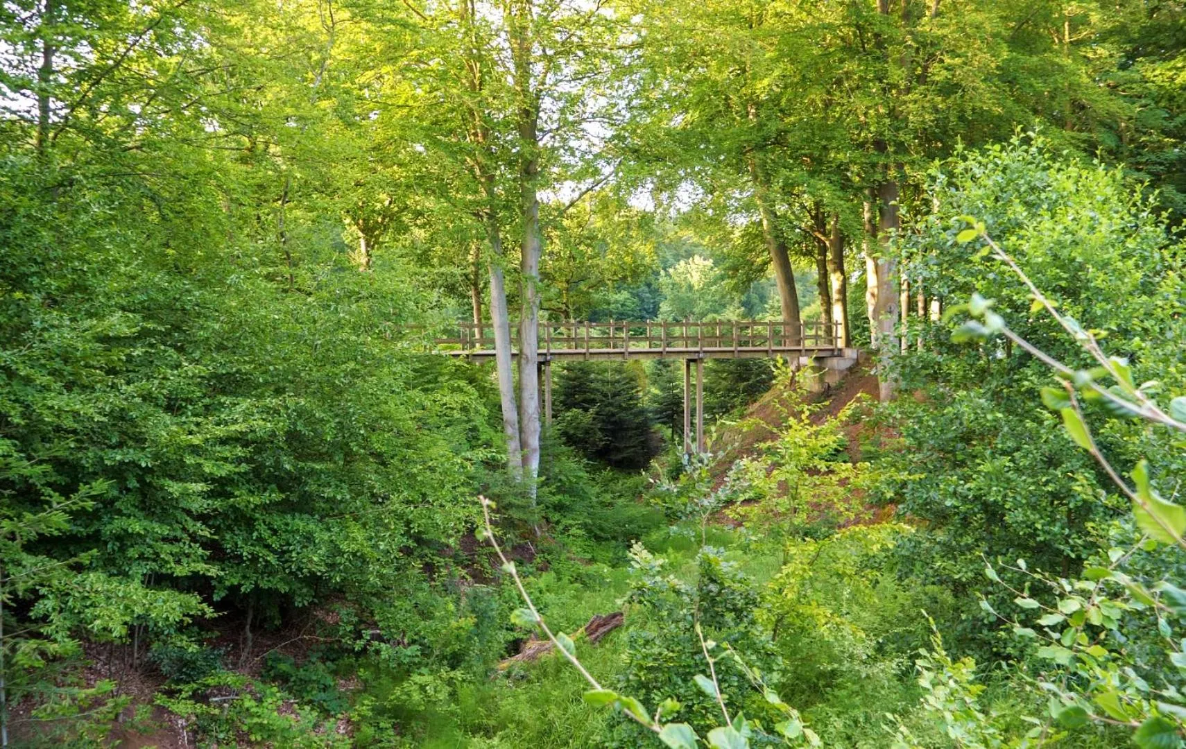 Garden in Hotel Vejlefjord