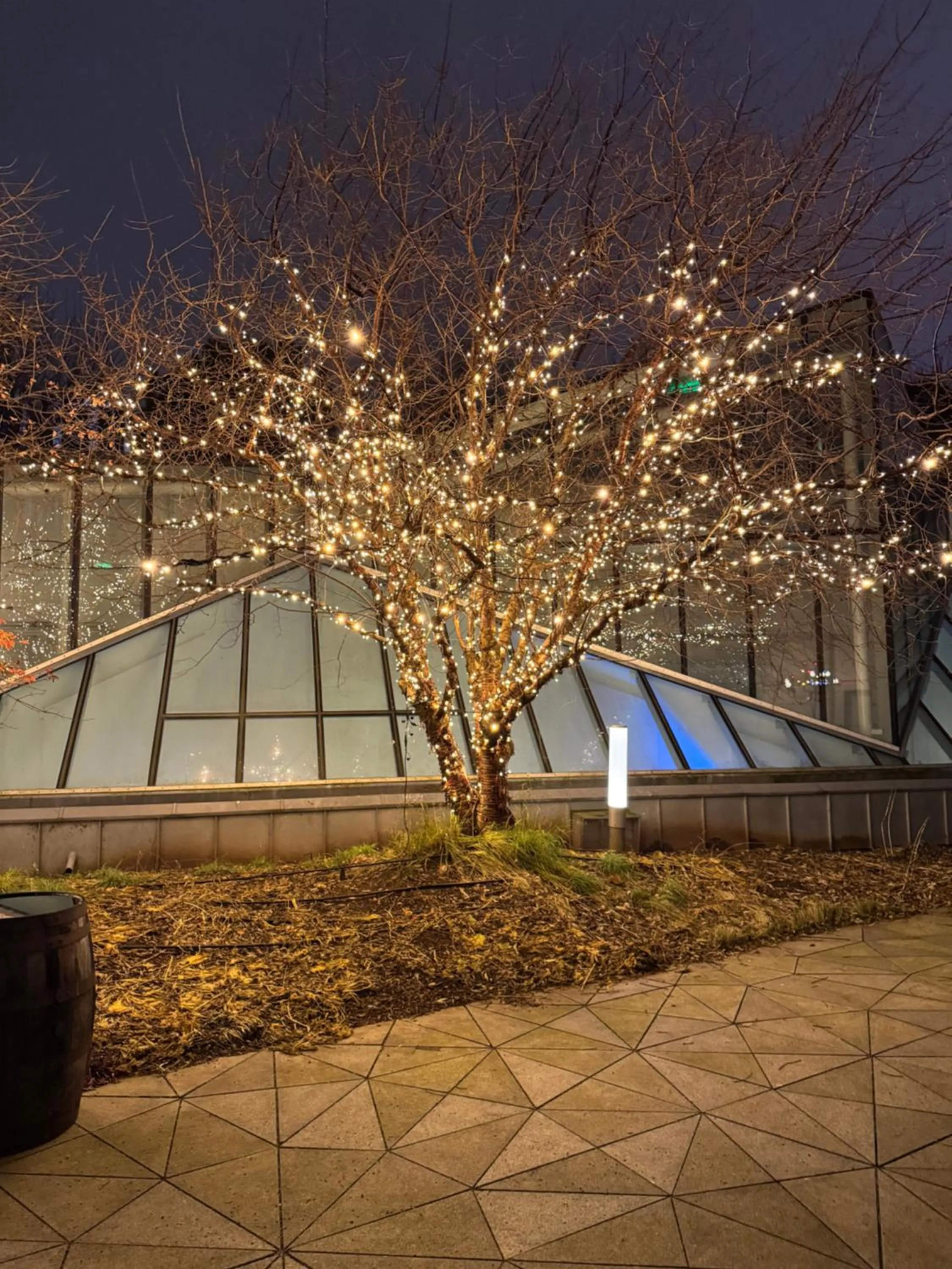 Garden in Tivoli Hotel