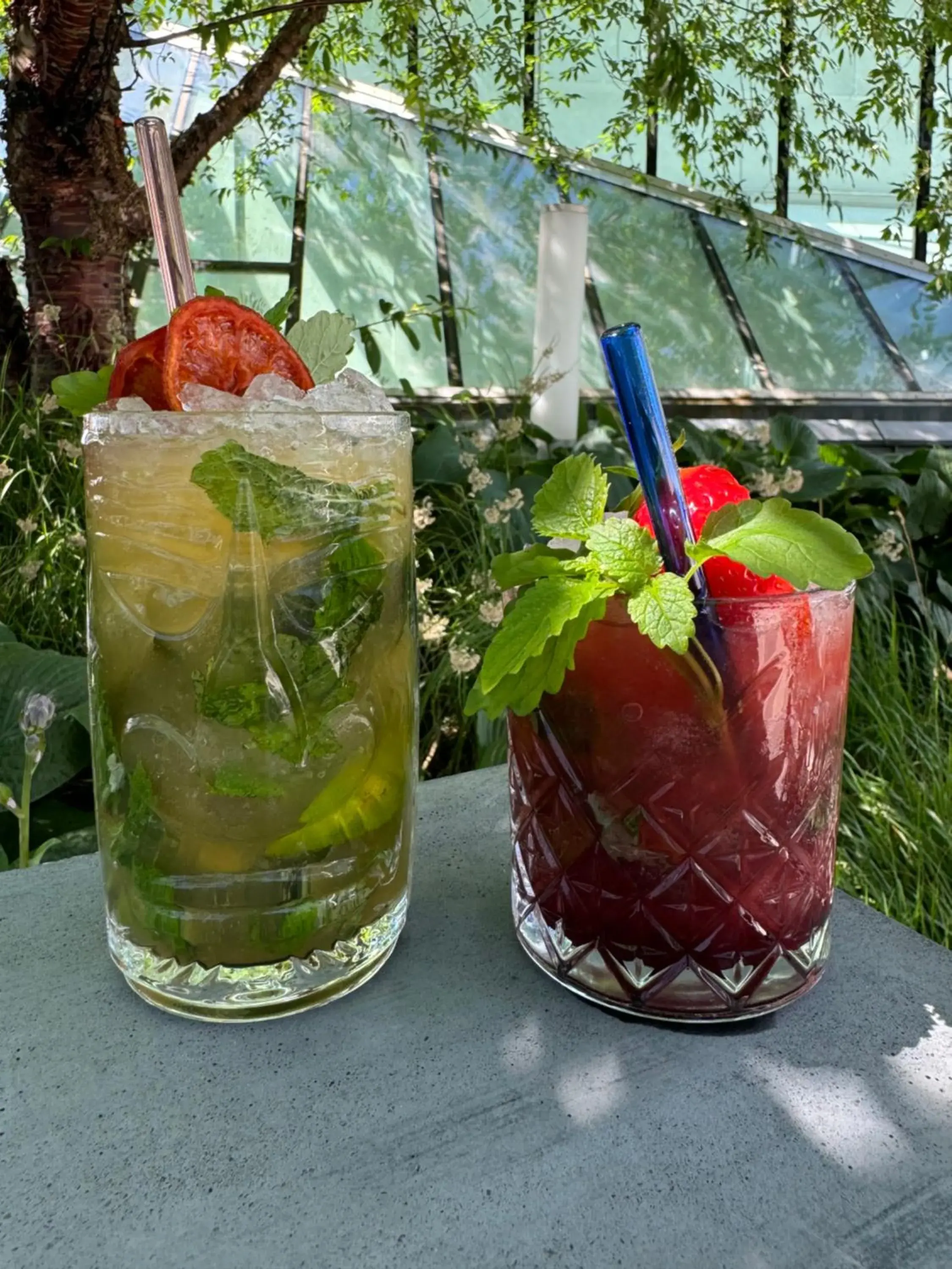 Lounge or bar in Tivoli Hotel Lounge or bar in Tivoli Hotel