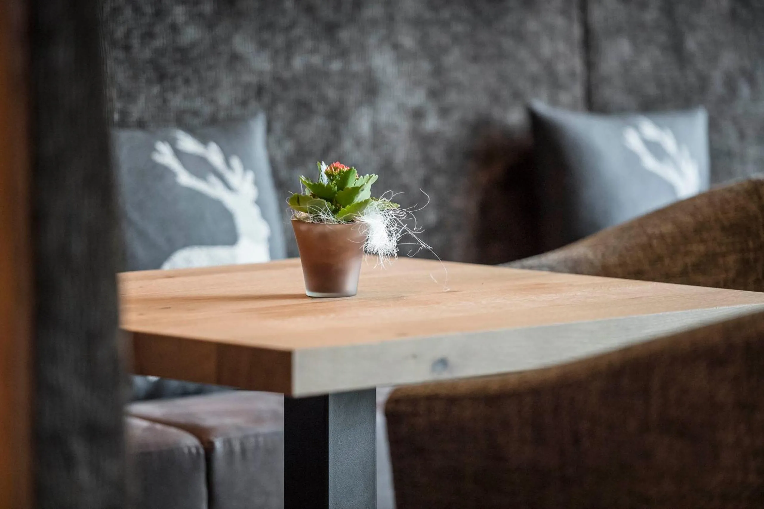 Lounge or bar in Hotel Madonna