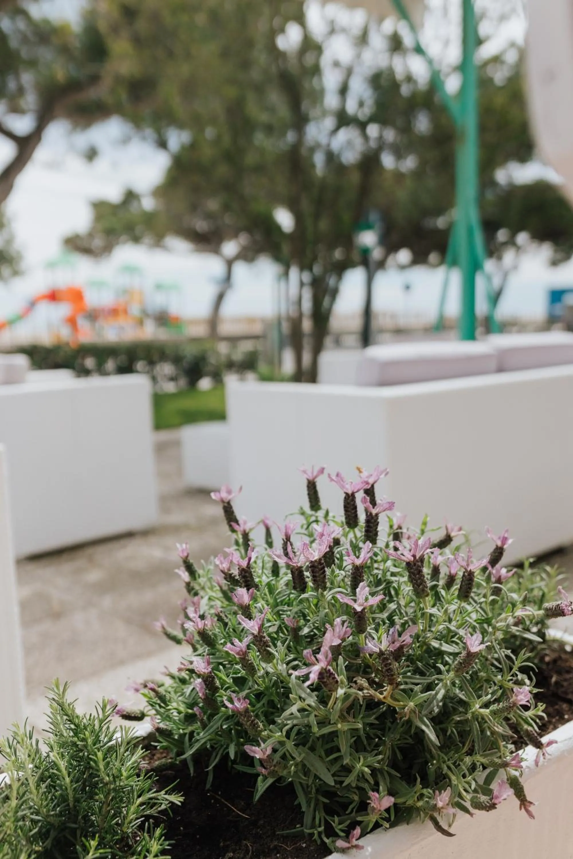 Day in Hotel Villa Franca