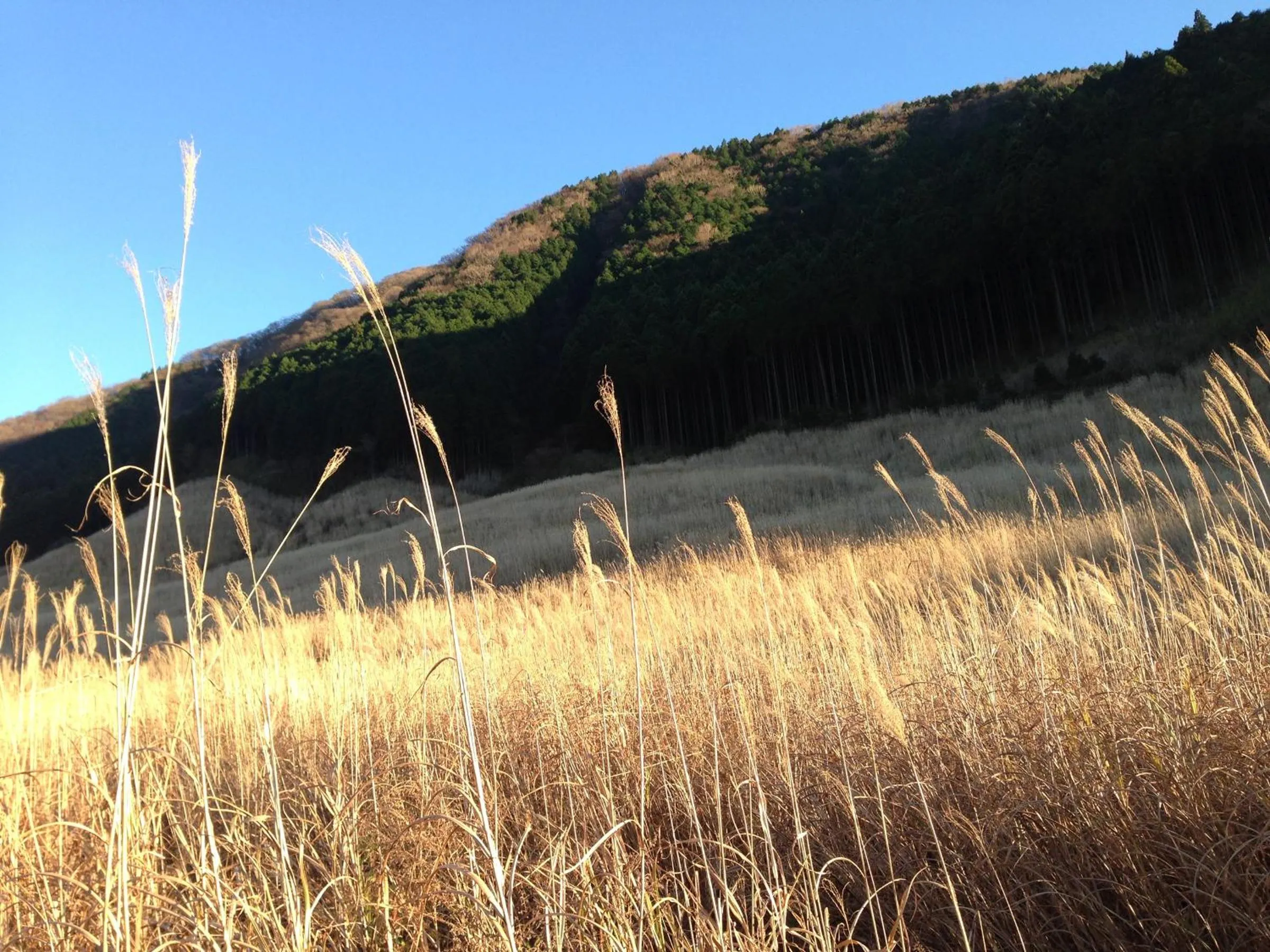 Natural landscape in Fukushimakan