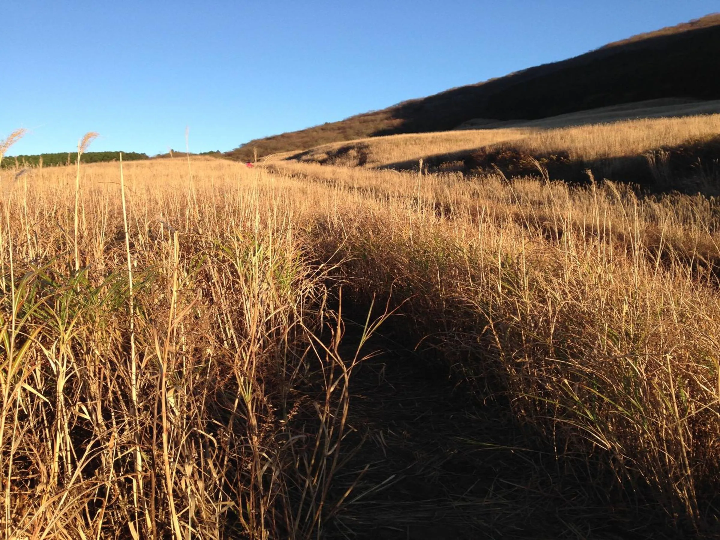 Natural landscape in Fukushimakan