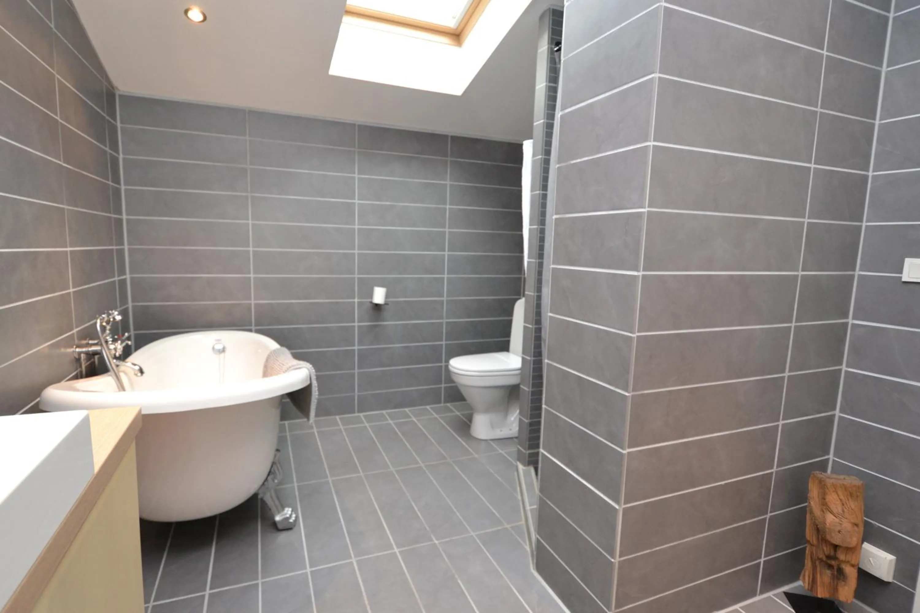 Shower in Dalby Hotel