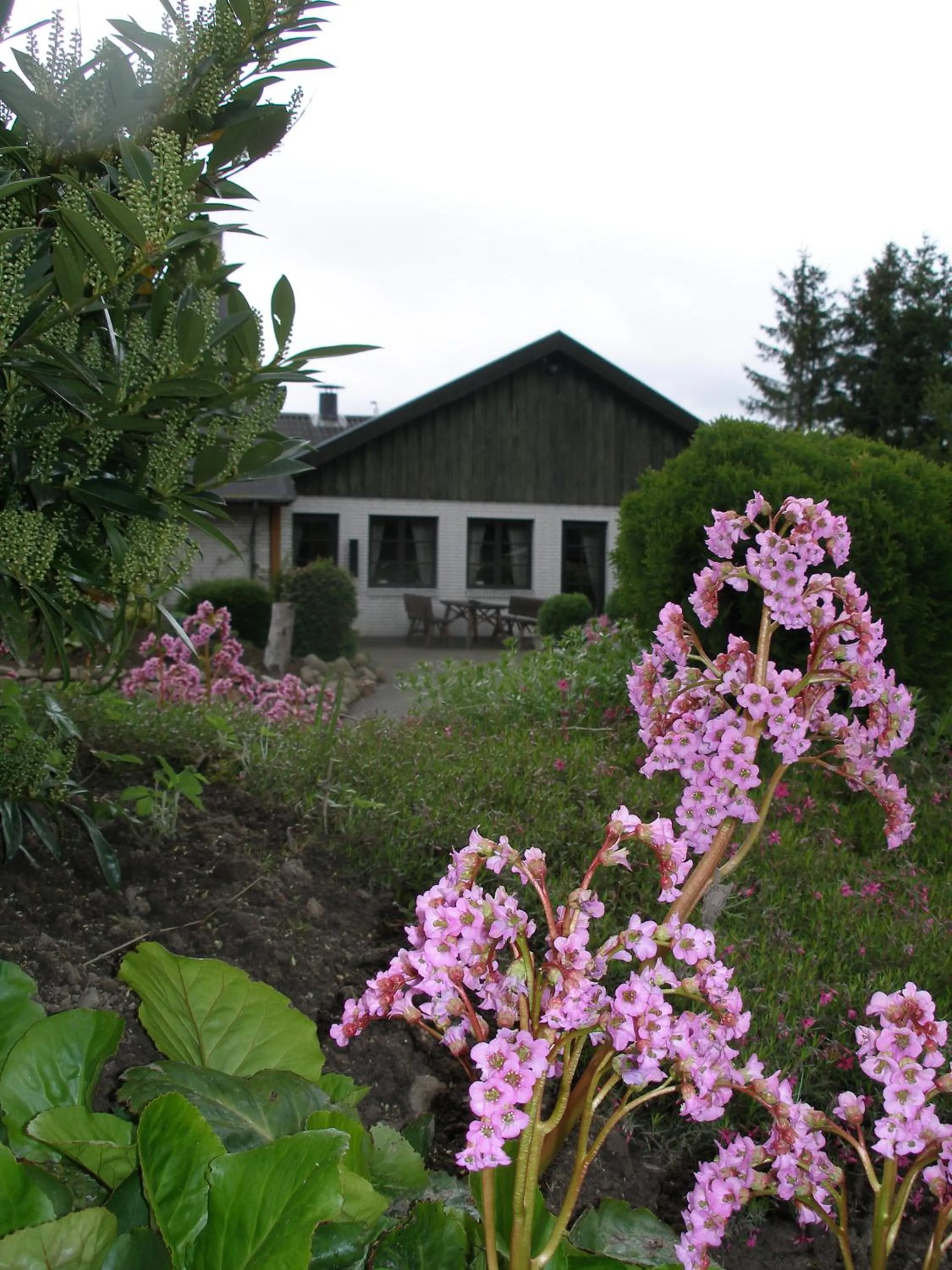 Garden in Dalby Hotel