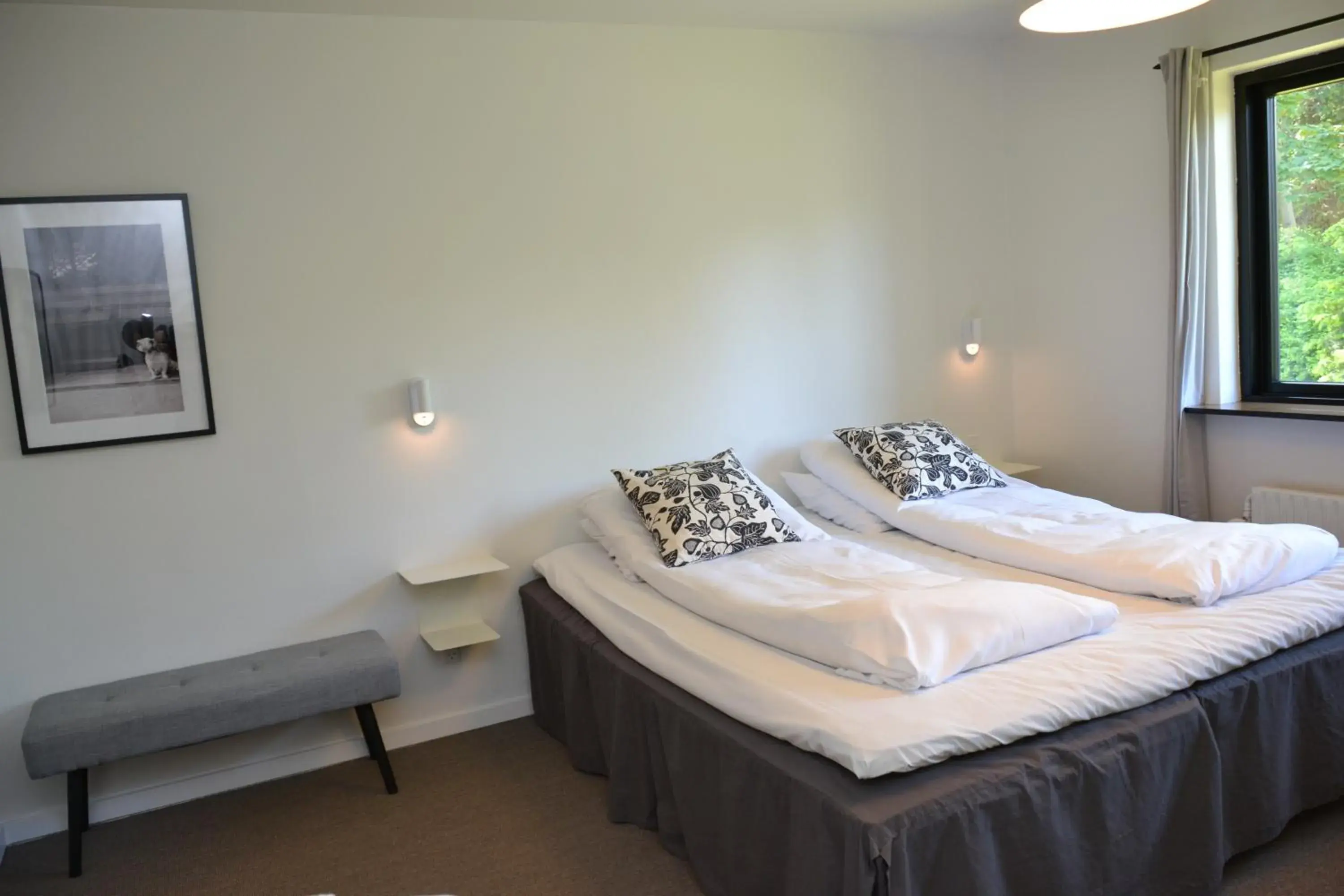 Deluxe King Room - single occupancy in Dalby Hotel Deluxe King Room - single occupancy in Dalby Hotel