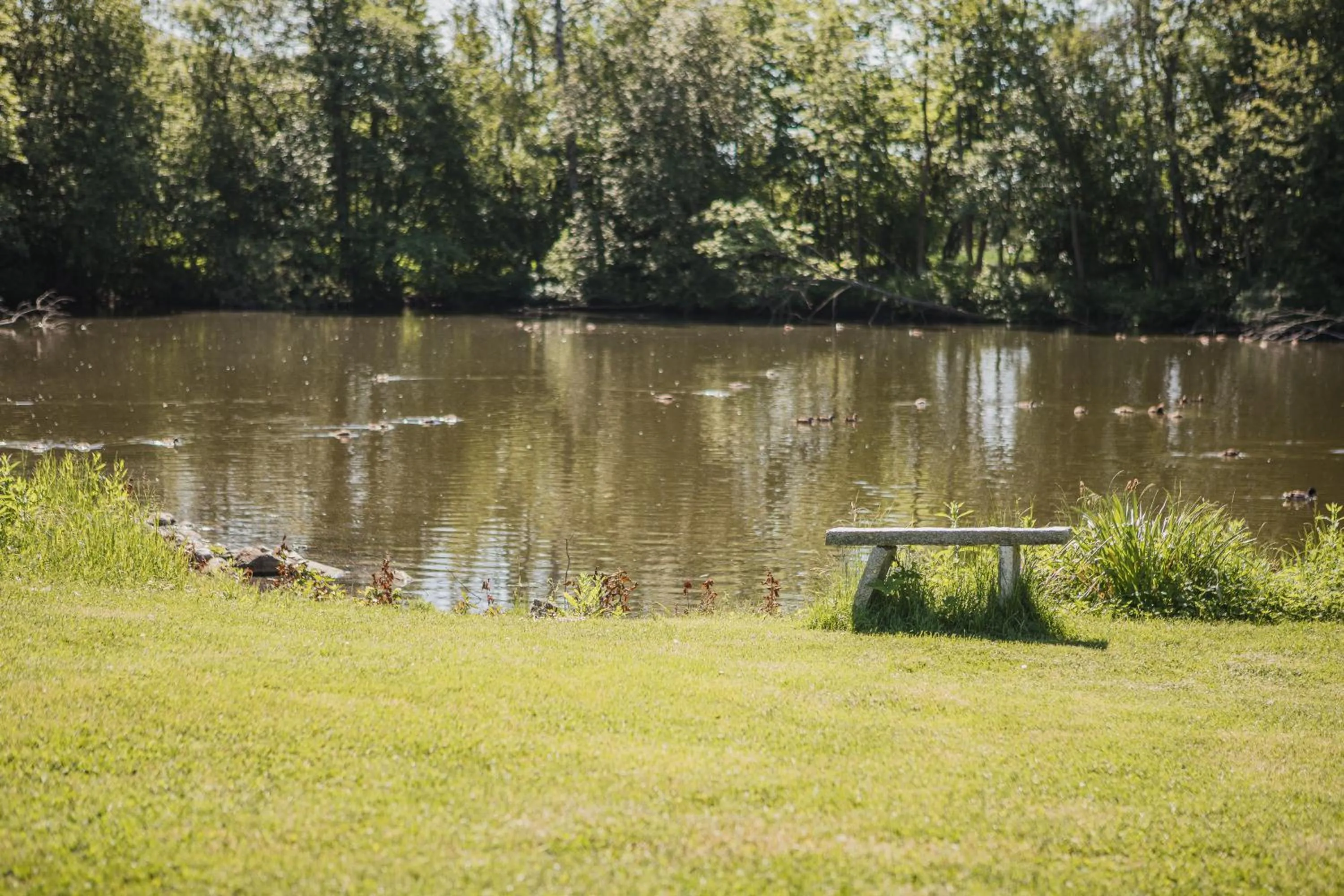 Natural landscape in Sonnerupgaard Hotel & Konference
