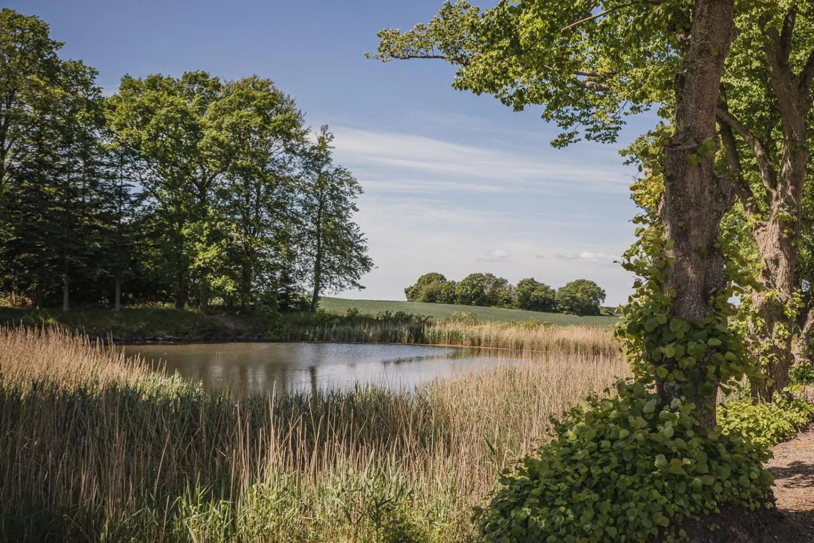 Natural landscape in Sonnerupgaard Hotel & Konference