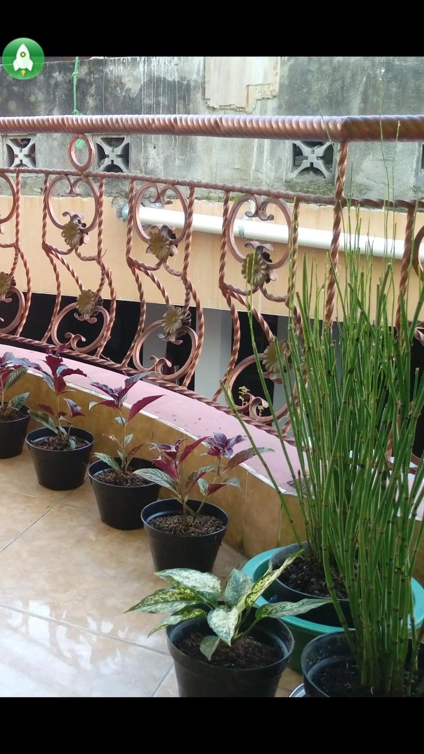 Patio in Grapyak Homestay Syariah