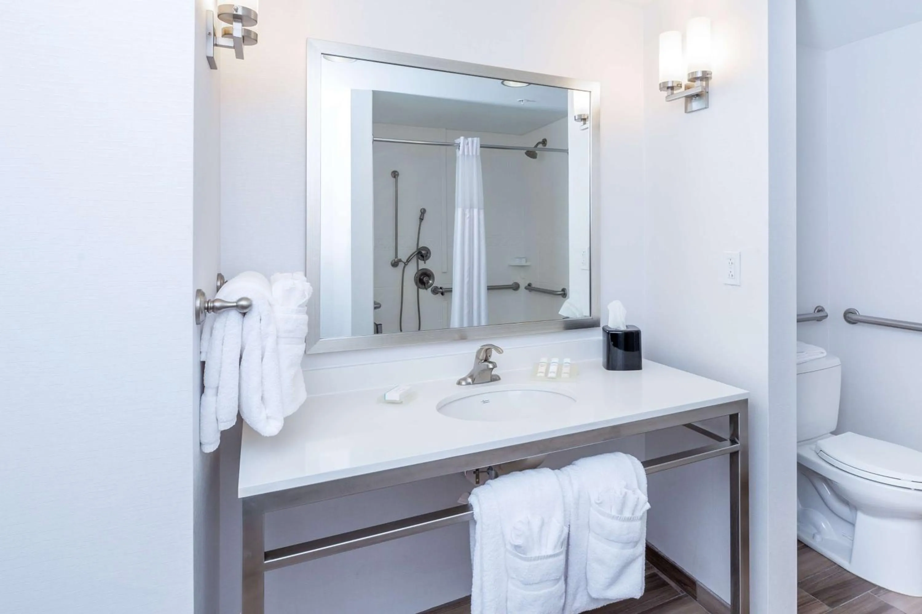 Bathroom in Hilton Garden Inn Asheville Downtown