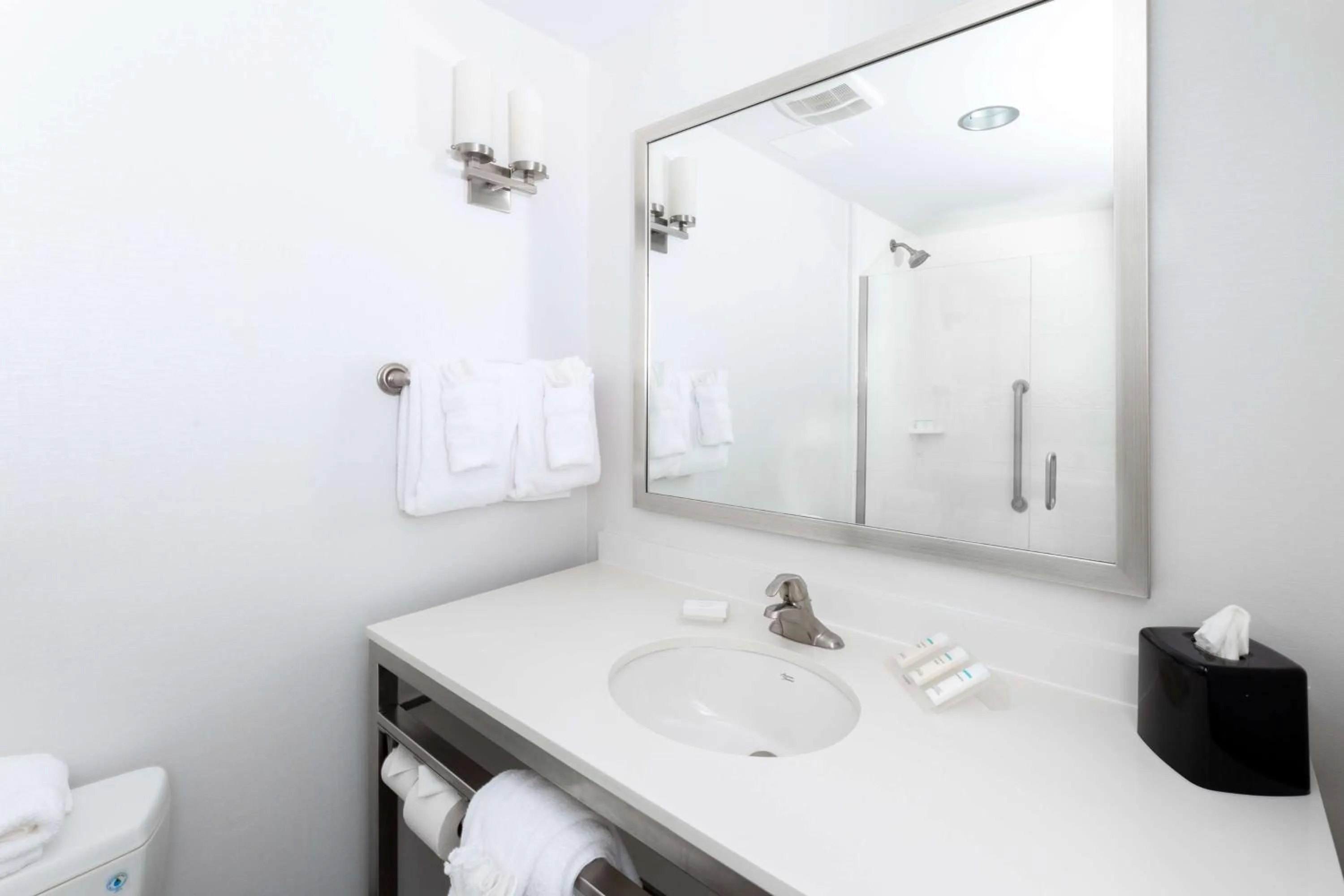 Bathroom in Hilton Garden Inn Asheville Downtown